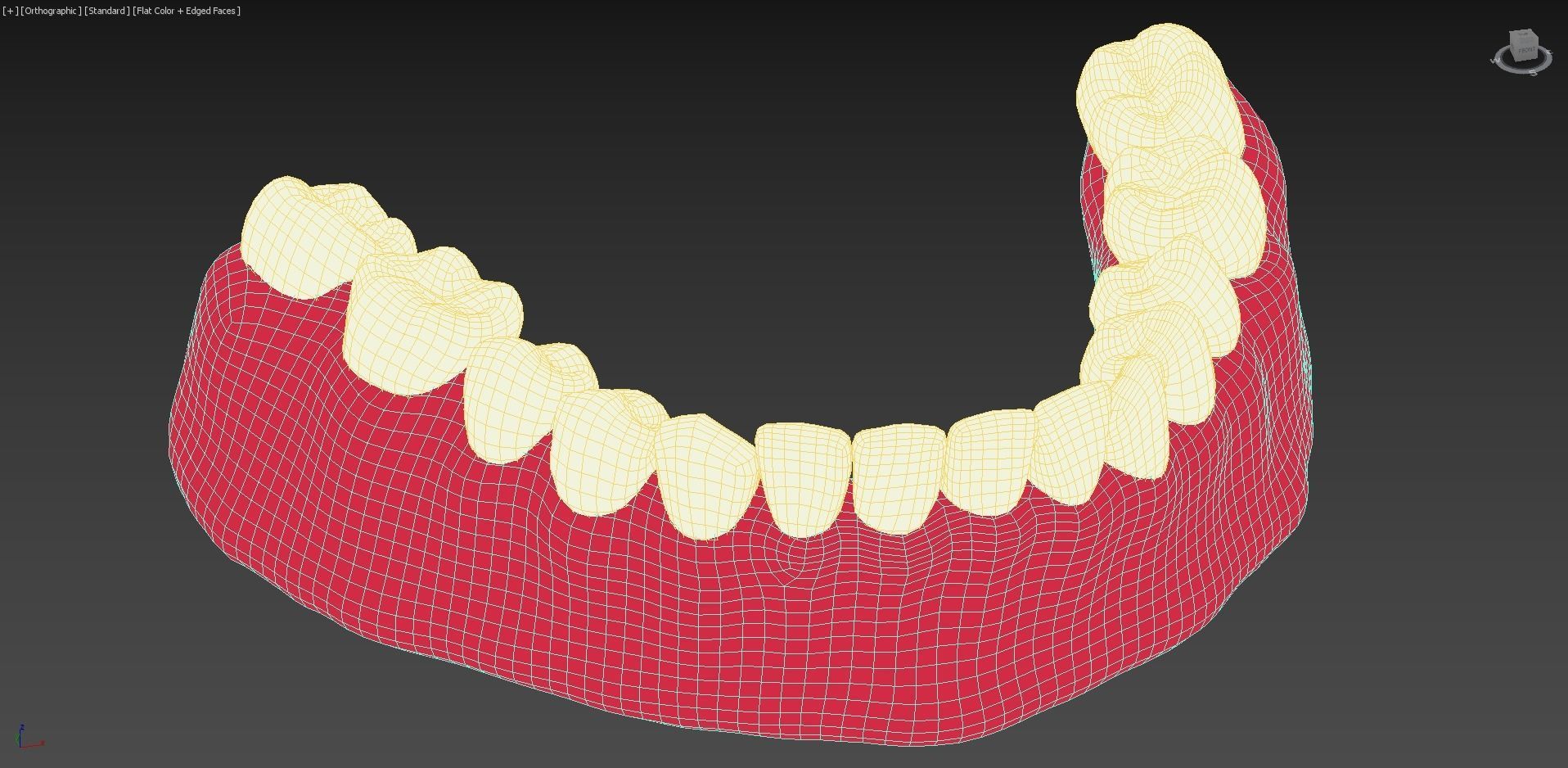 Bottom Dental Teeth Model Low-poly 3D model_11