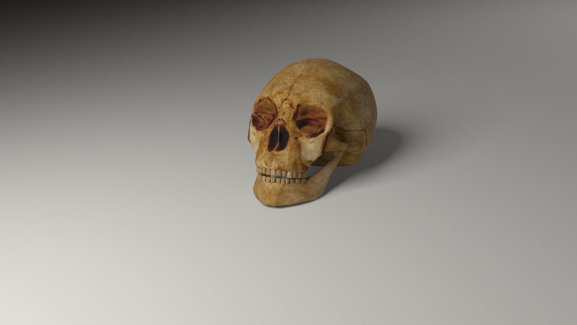 Pirate accessories 3D Model Collection_54