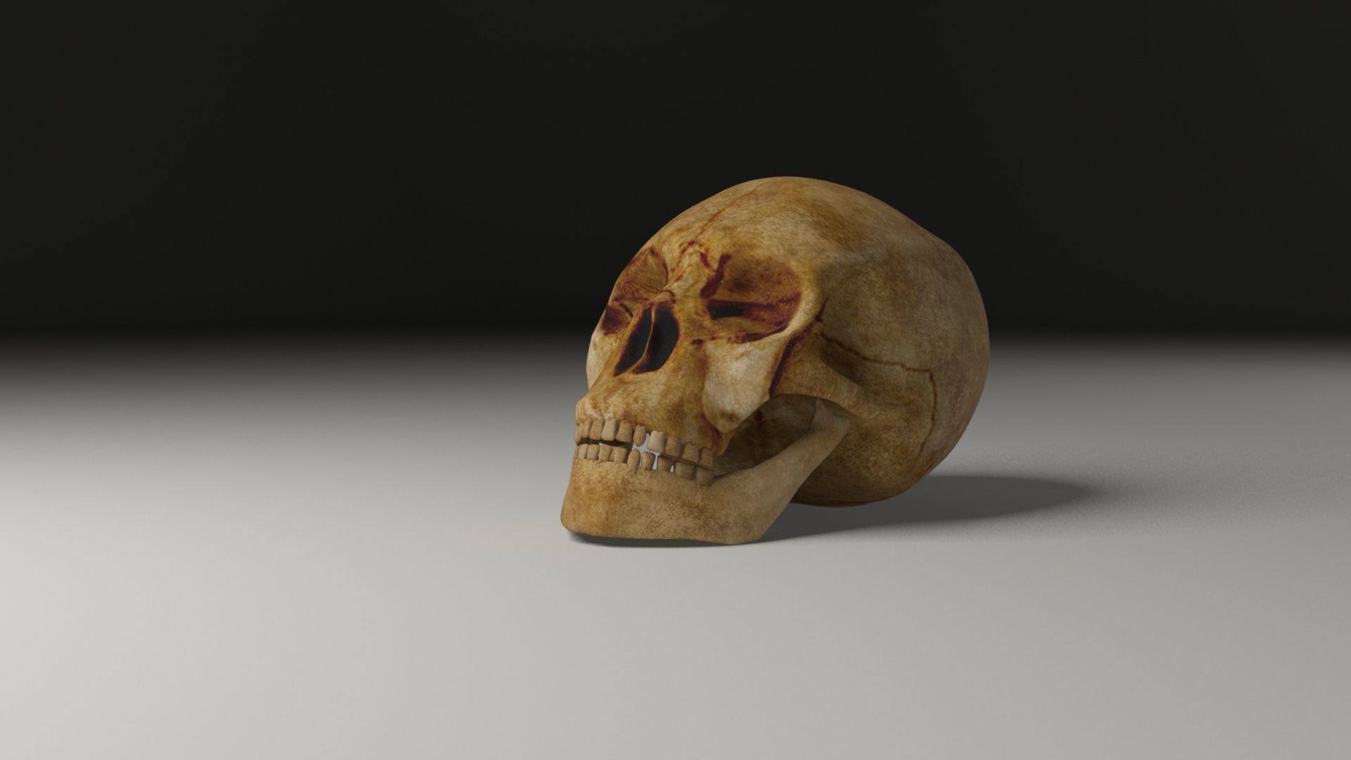 Pirate accessories 3D Model Collection_50