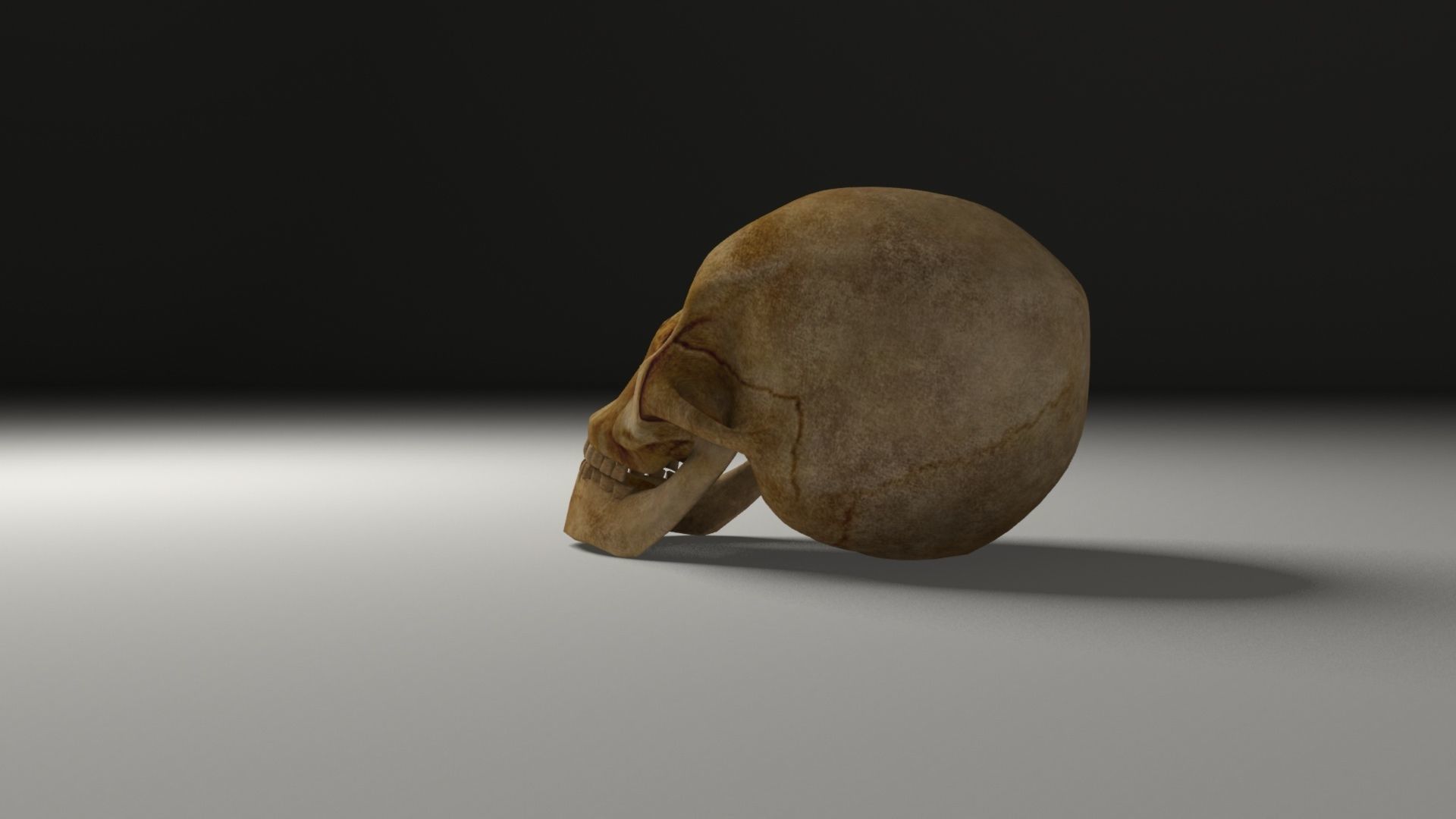 Pirate accessories 3D Model Collection_51