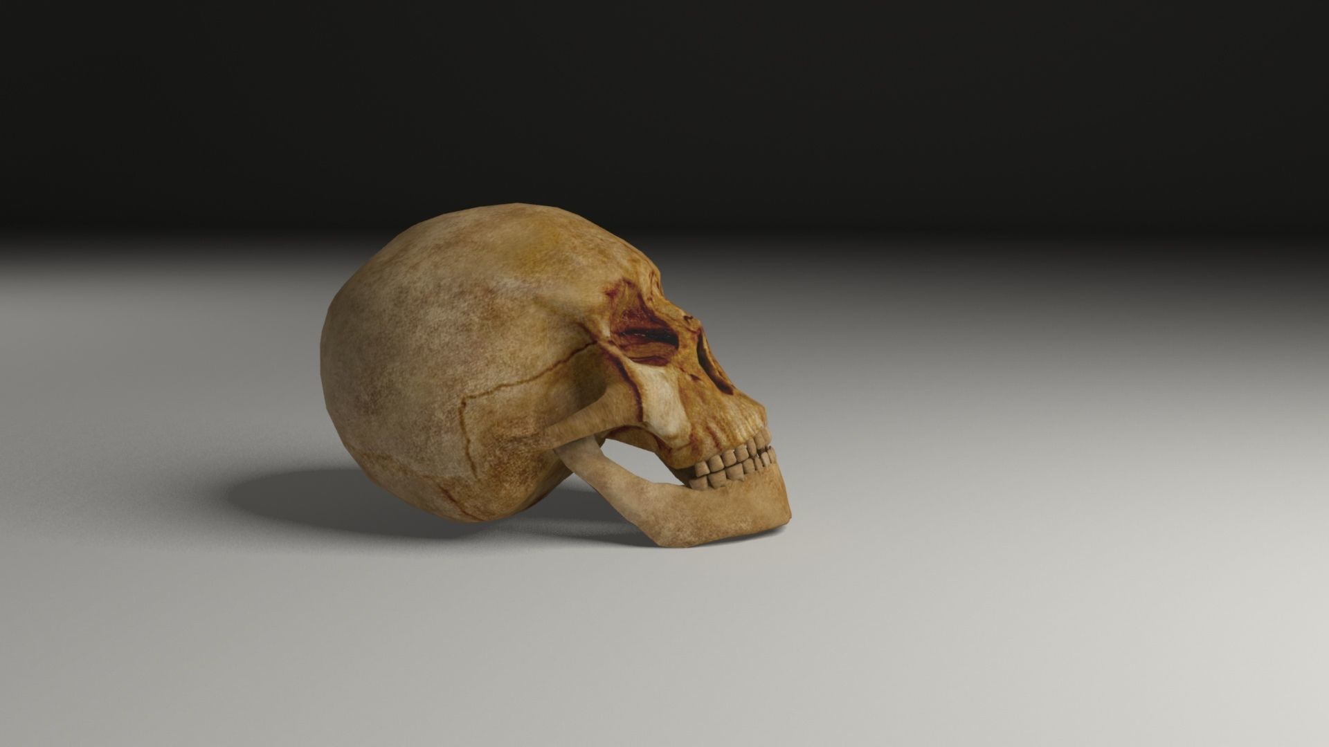 Pirate accessories 3D Model Collection_53