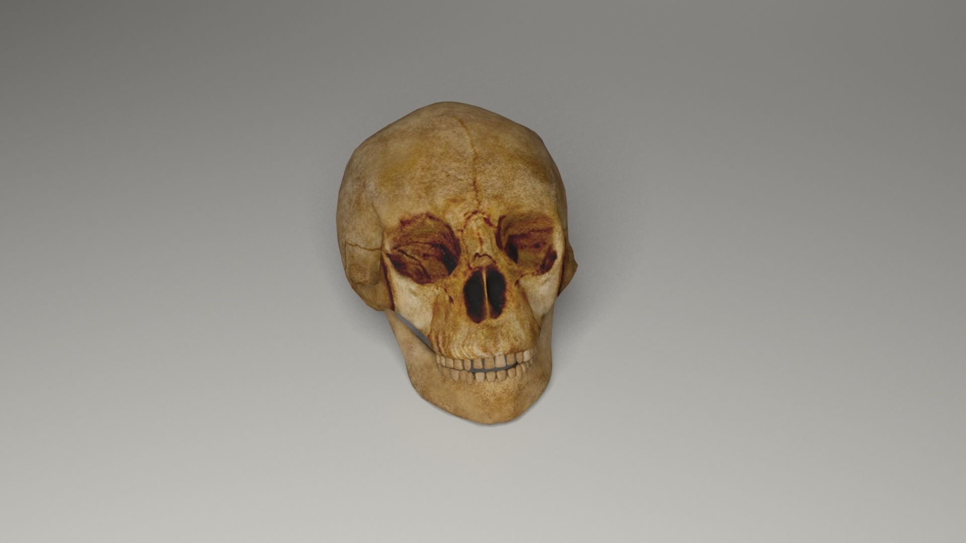 Pirate accessories 3D Model Collection_56