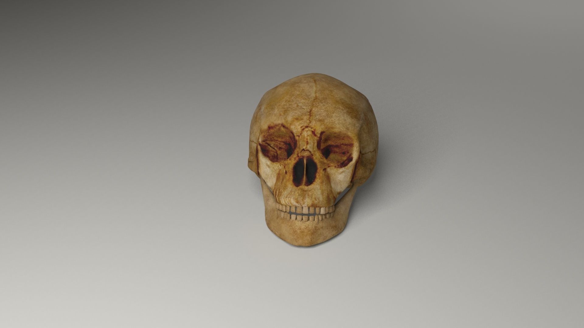 Pirate accessories 3D Model Collection_55