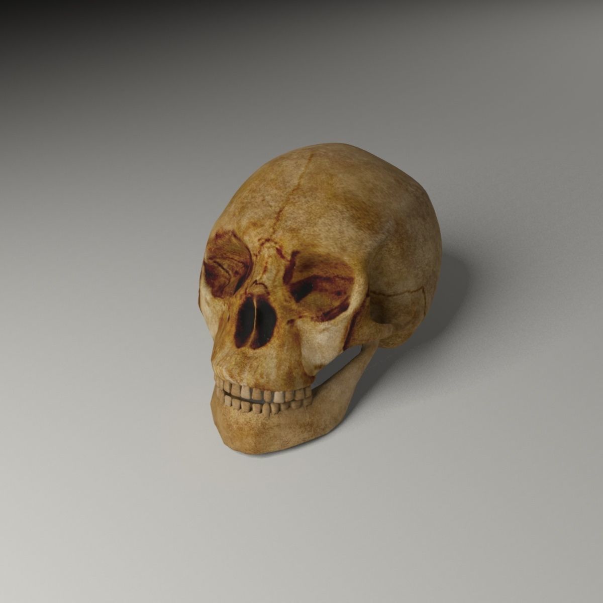 Pirate accessories 3D Model Collection_49