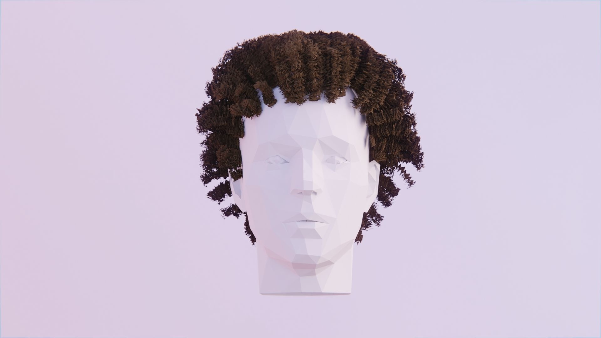 Curly Afro - High Poly Free 3D model_2
