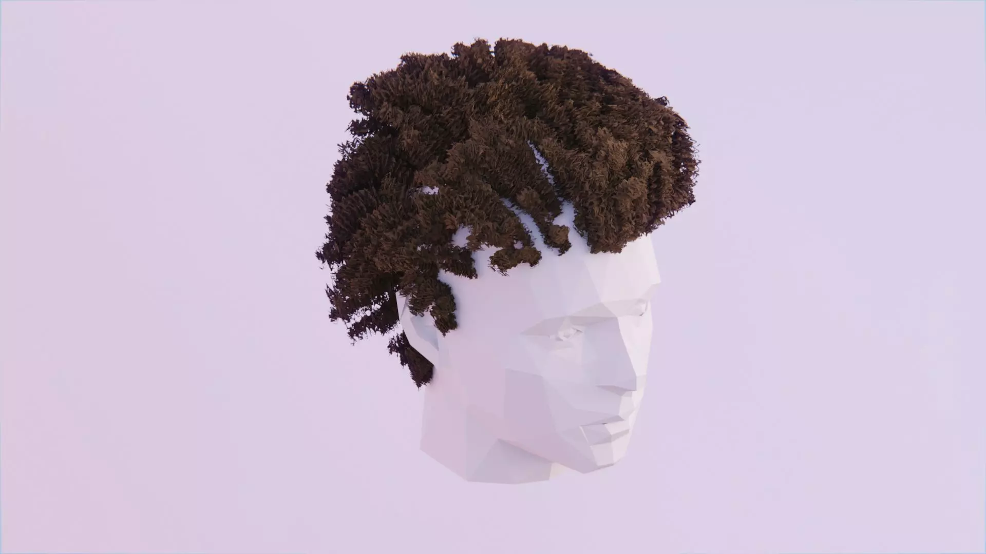 Curly Afro - High Poly Free 3D model_0