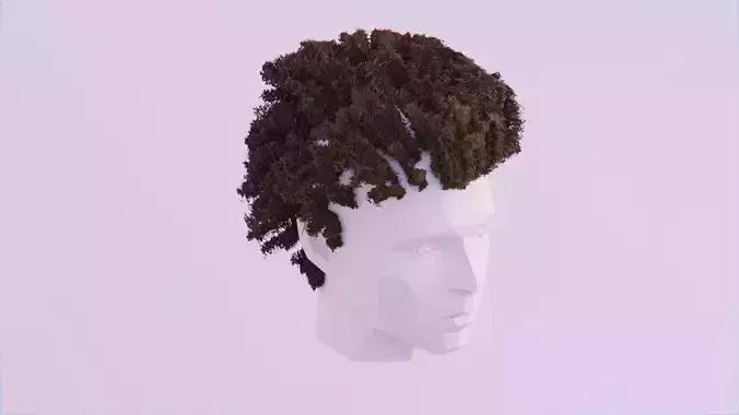 Curly Afro - High Poly Free 3D model