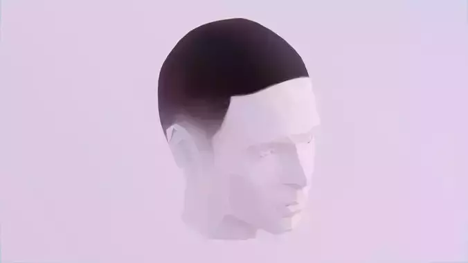 Buzzed Hair Low-poly 3D model