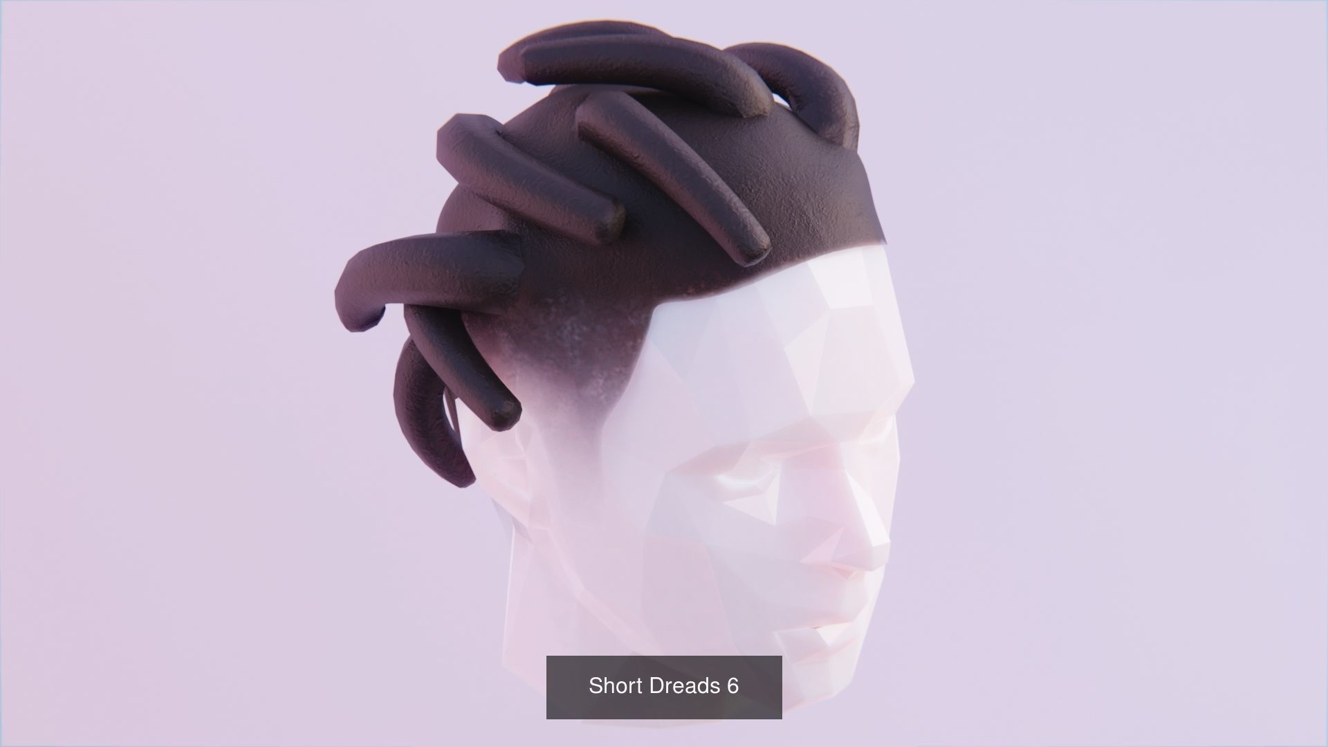 Hair Pack - All Styles by Tiko 3D Model Collection_58