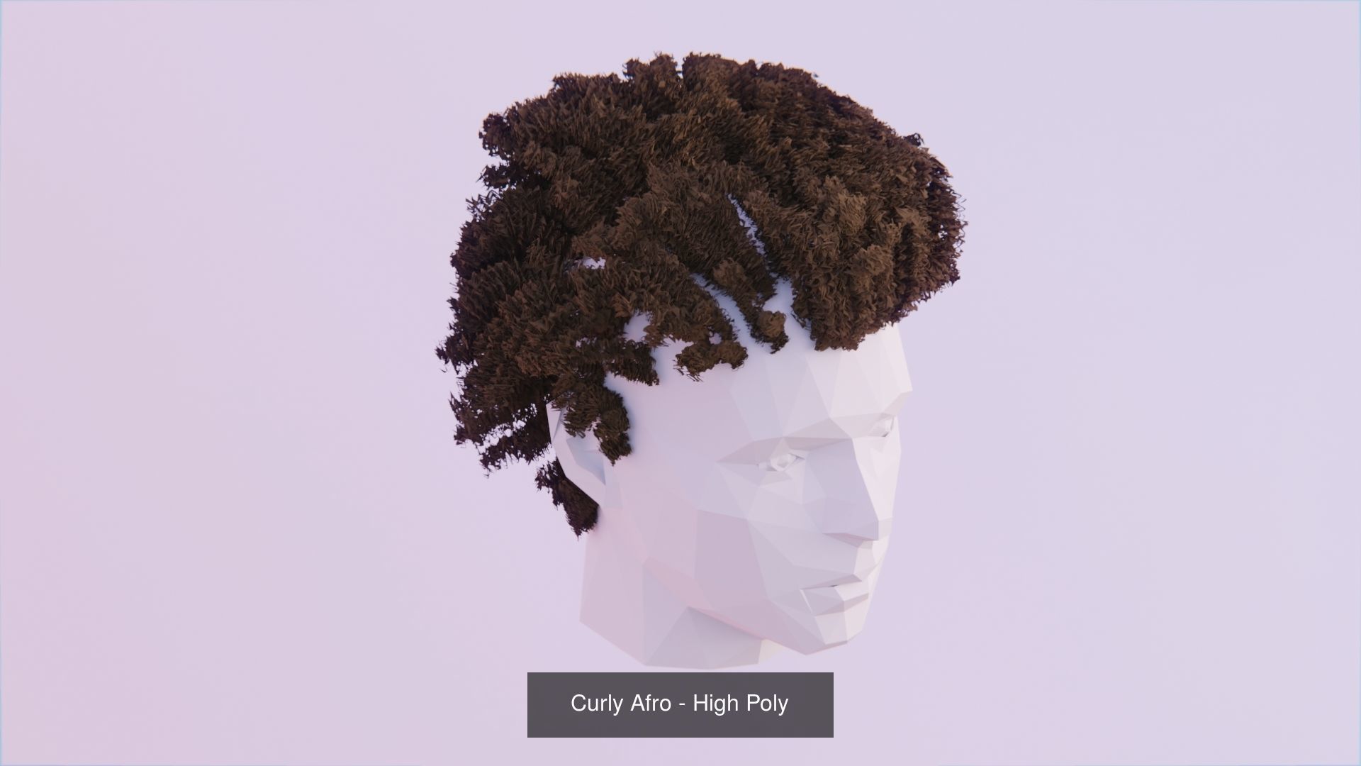 Hair Pack - All Styles by Tiko 3D Model Collection_18