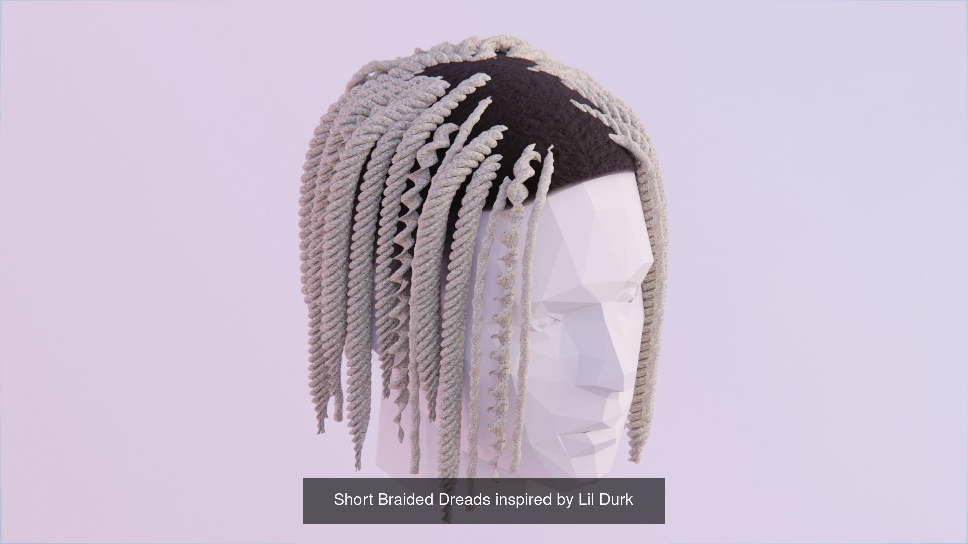 Hair Pack - All Styles by Tiko 3D Model Collection_32