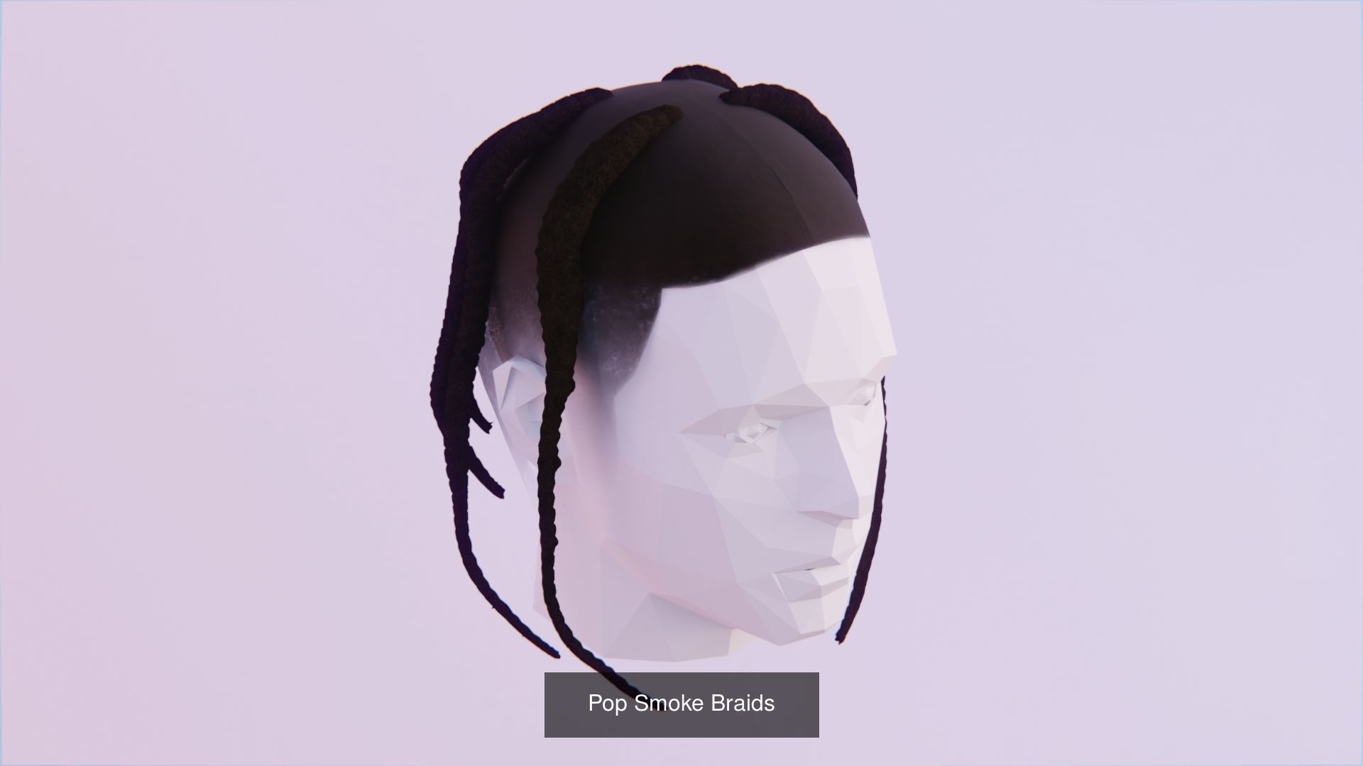 Hair Pack - All Styles by Tiko 3D Model Collection_27