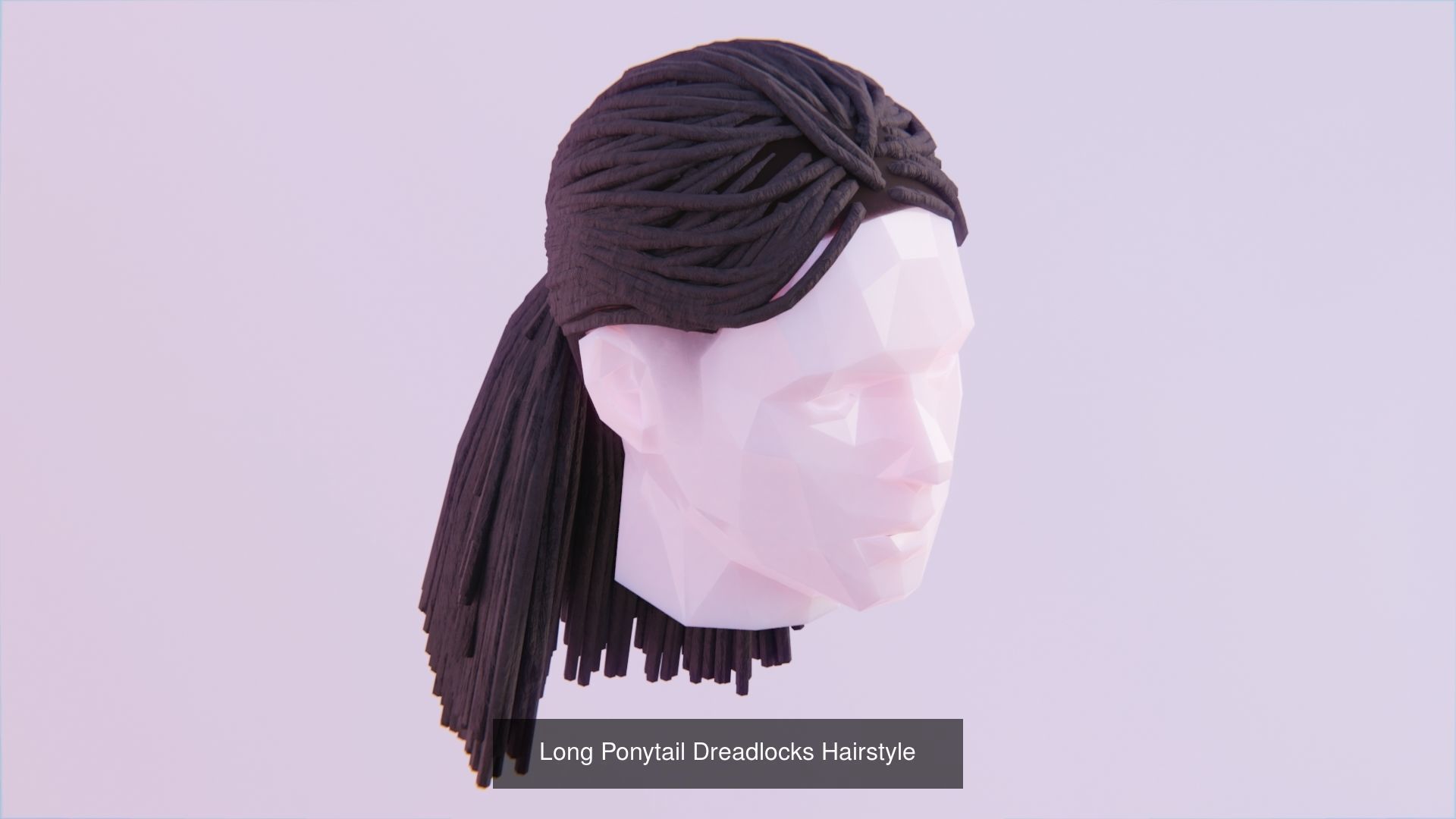 Hair Pack - All Styles by Tiko 3D Model Collection_50