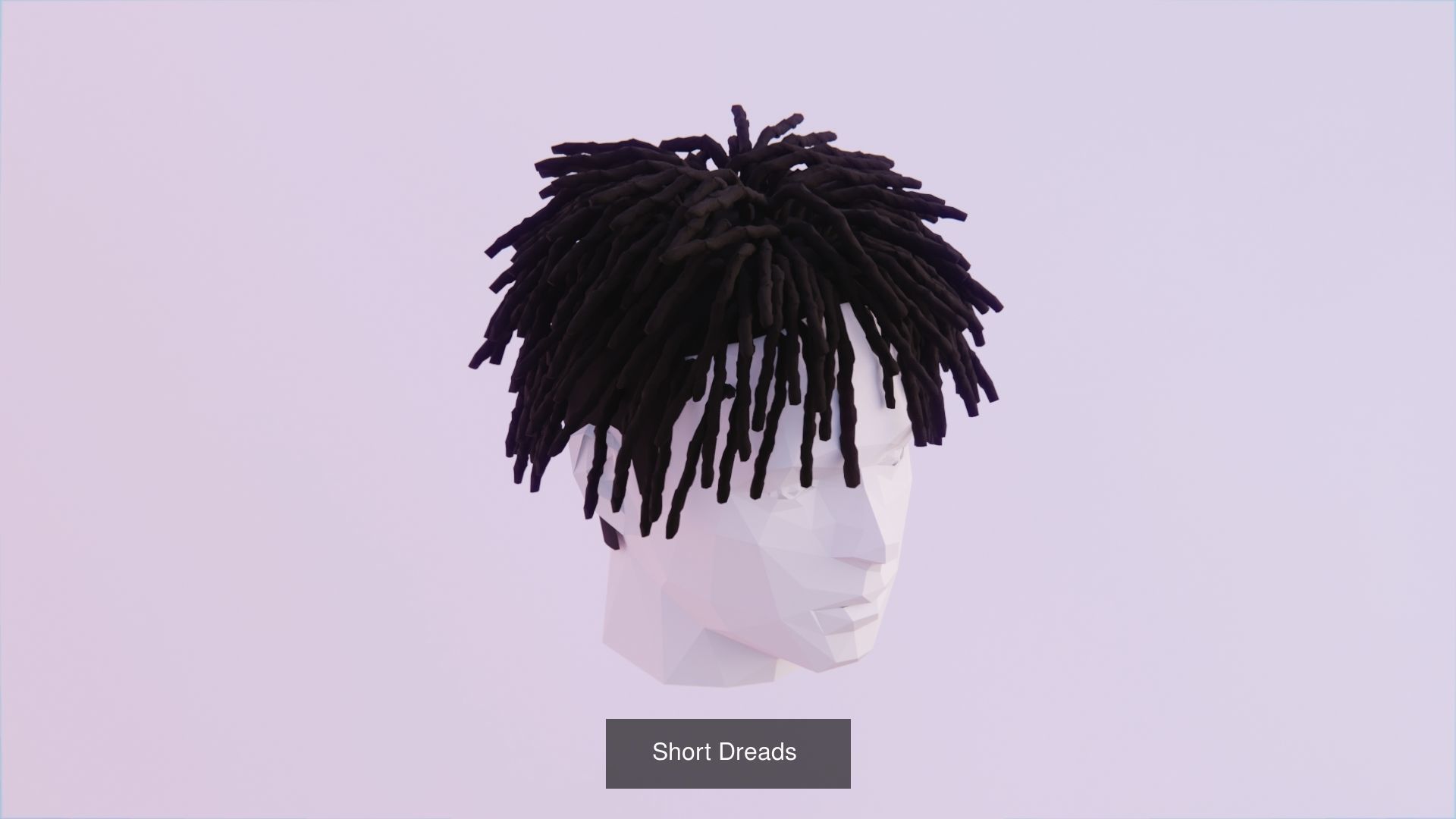 Hair Pack - All Styles by Tiko 3D Model Collection_12