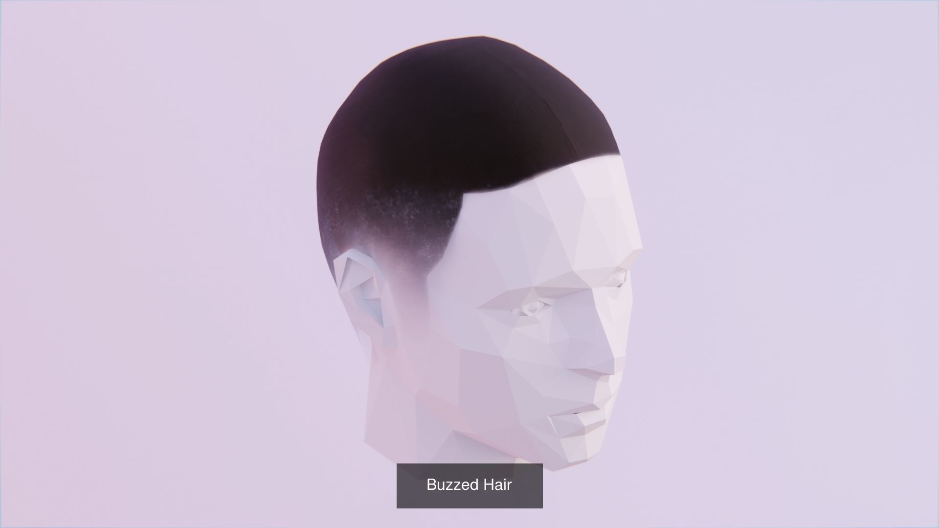 Hair Pack - All Styles by Tiko 3D Model Collection_19