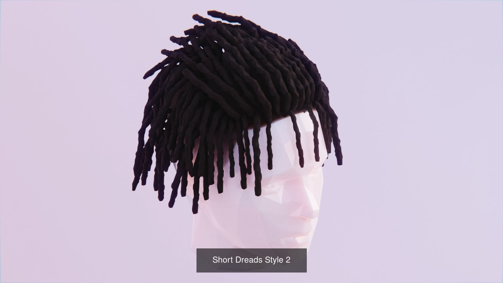 Hair Pack - All Styles by Tiko 3D Model Collection_16
