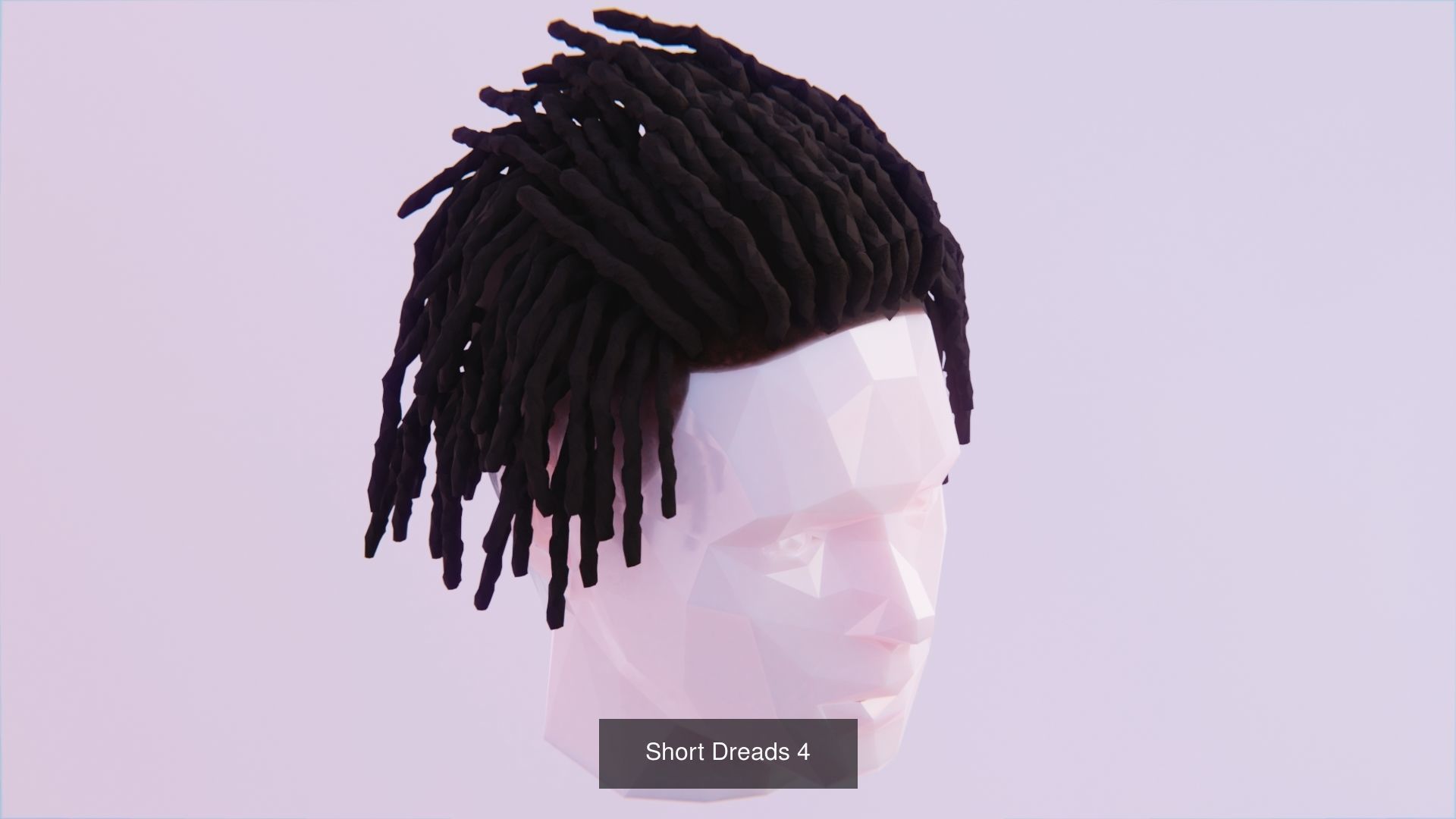 Hair Pack - All Styles by Tiko 3D Model Collection_54