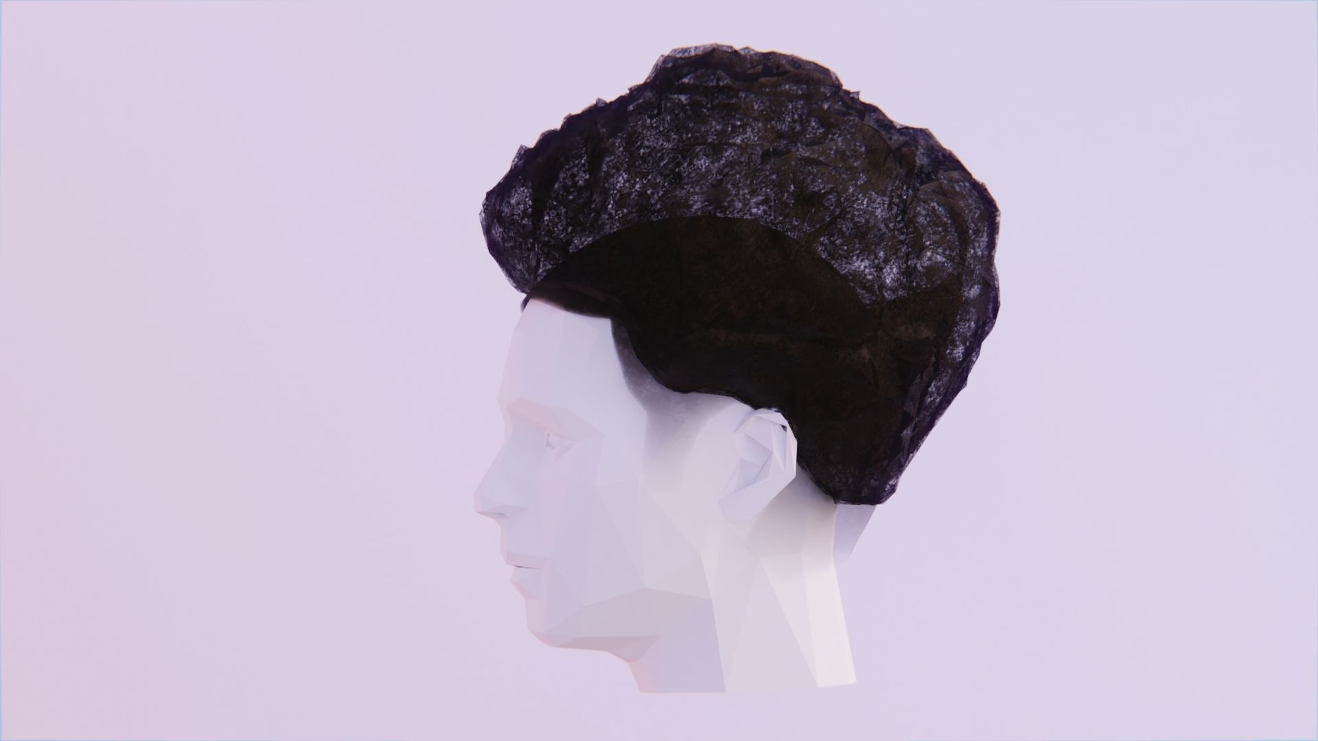 Nappy Afro Low-poly 3D model_1