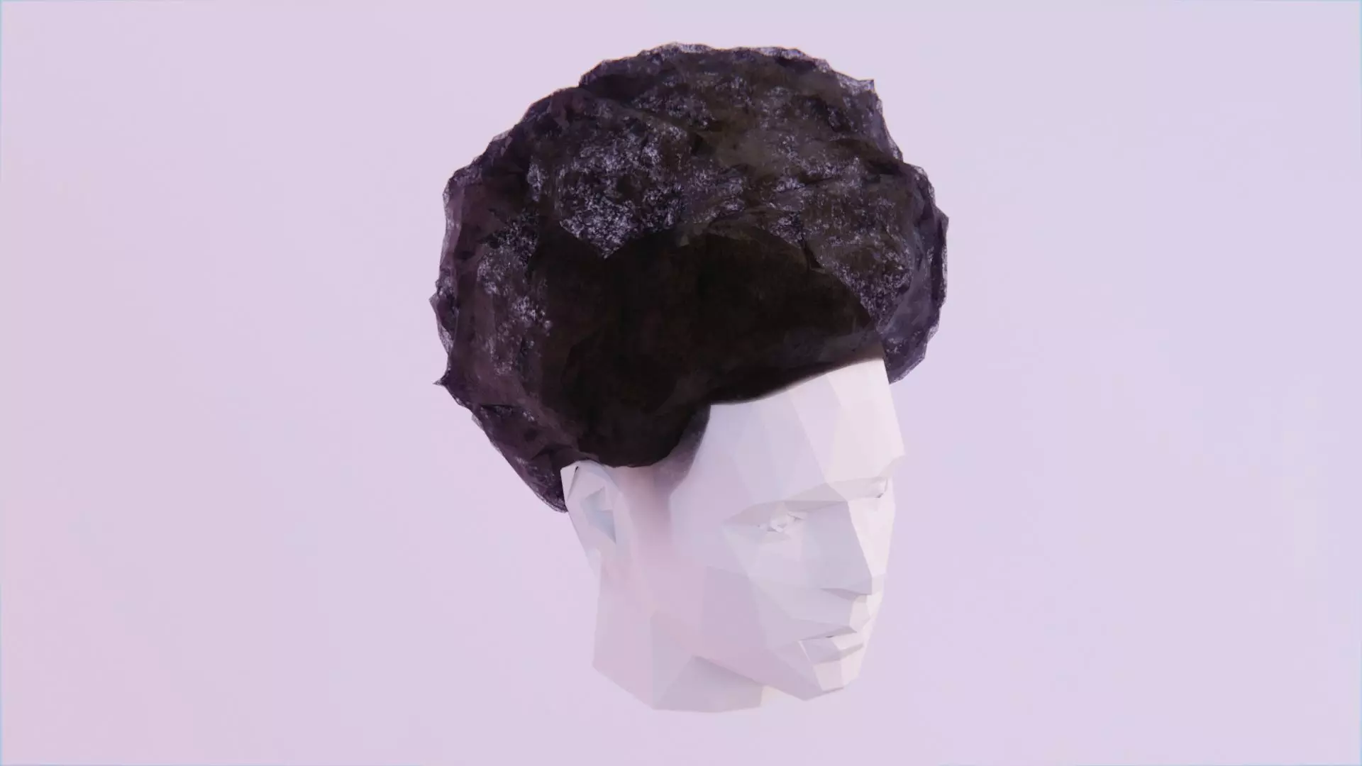 Nappy Afro Low-poly 3D model_0