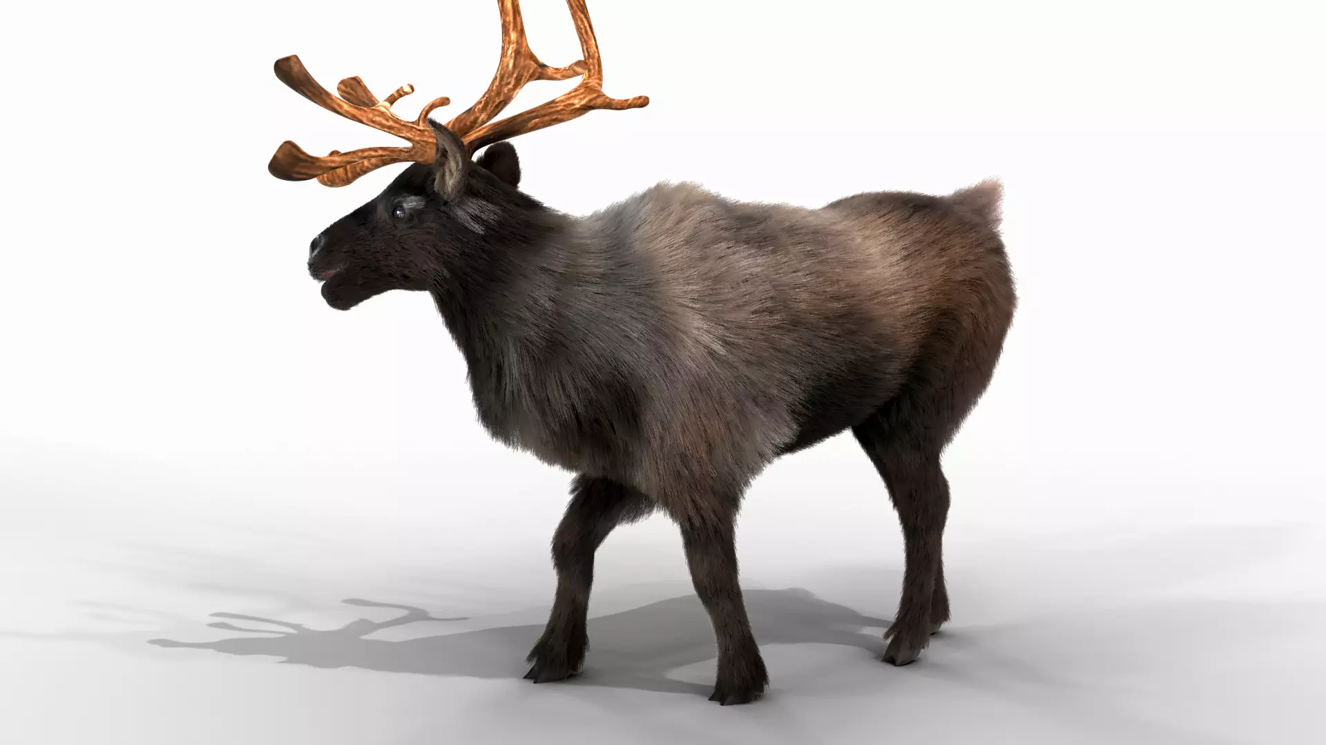 Fur Black Reindeer Rigged Blender Low-poly 3D model_0