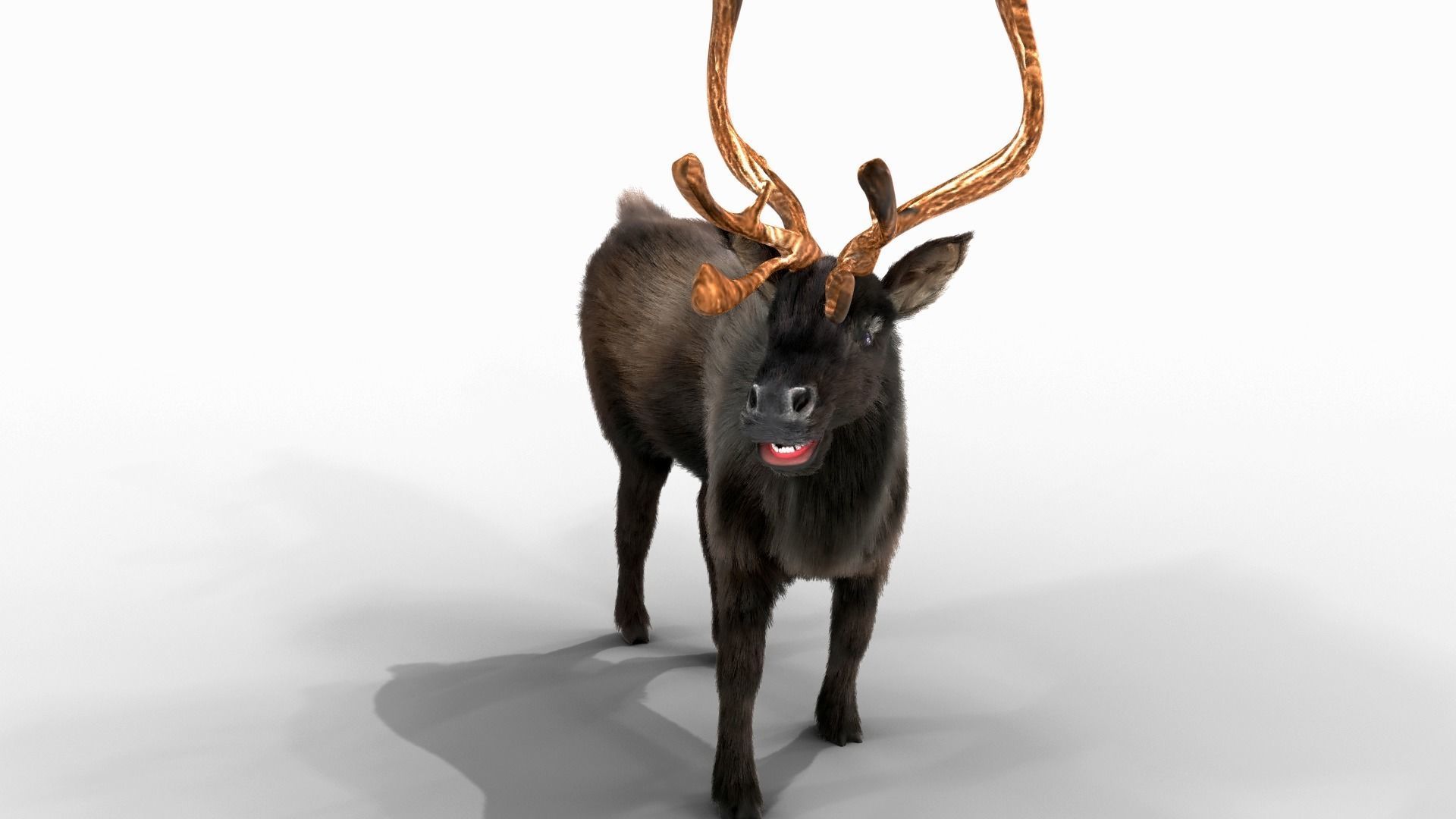 Fur Black Reindeer Rigged Blender Low-poly 3D model_4