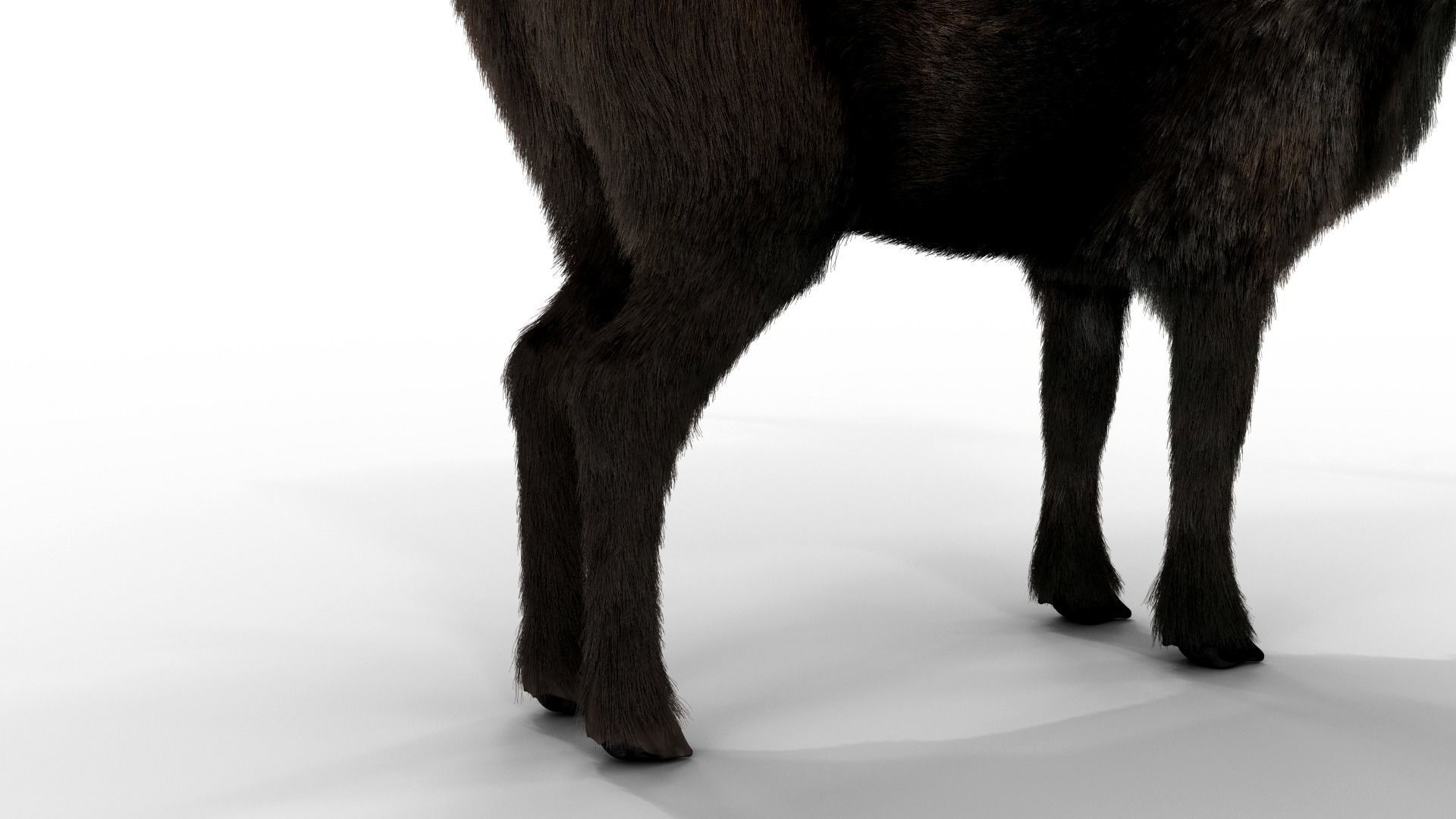 Fur Black Reindeer Rigged Blender Low-poly 3D model_15