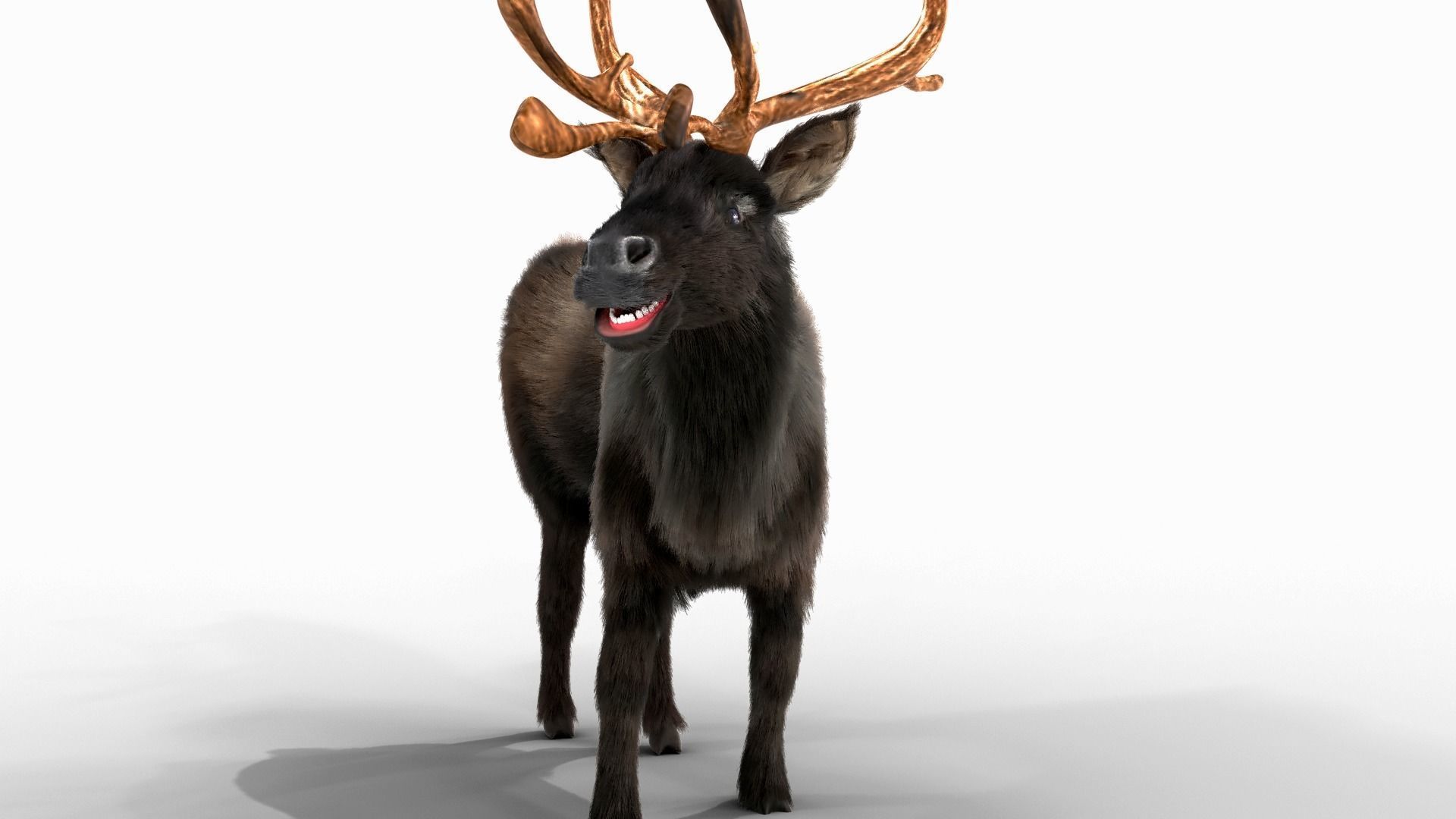 Fur Black Reindeer Rigged Blender Low-poly 3D model_3