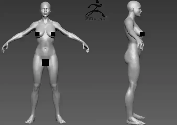 young woman basemesh 3D model