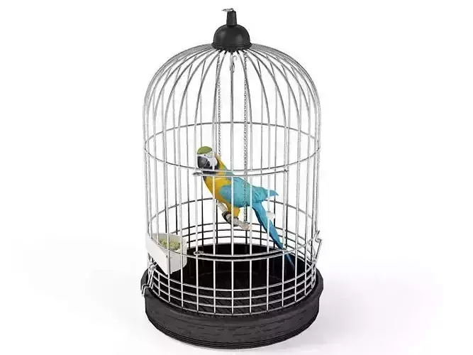Parrot Bird In A Cage