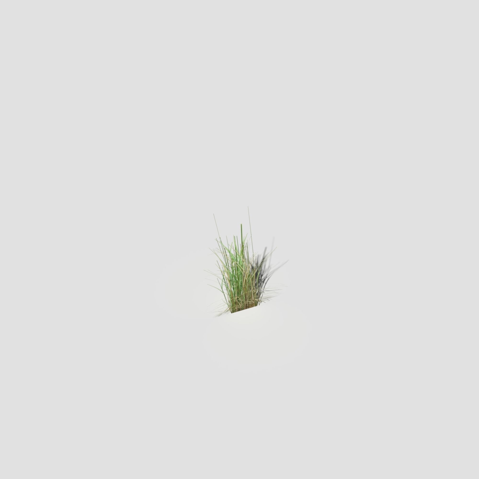 Low Poly Bent Grass Pack Low-poly 3D model_38