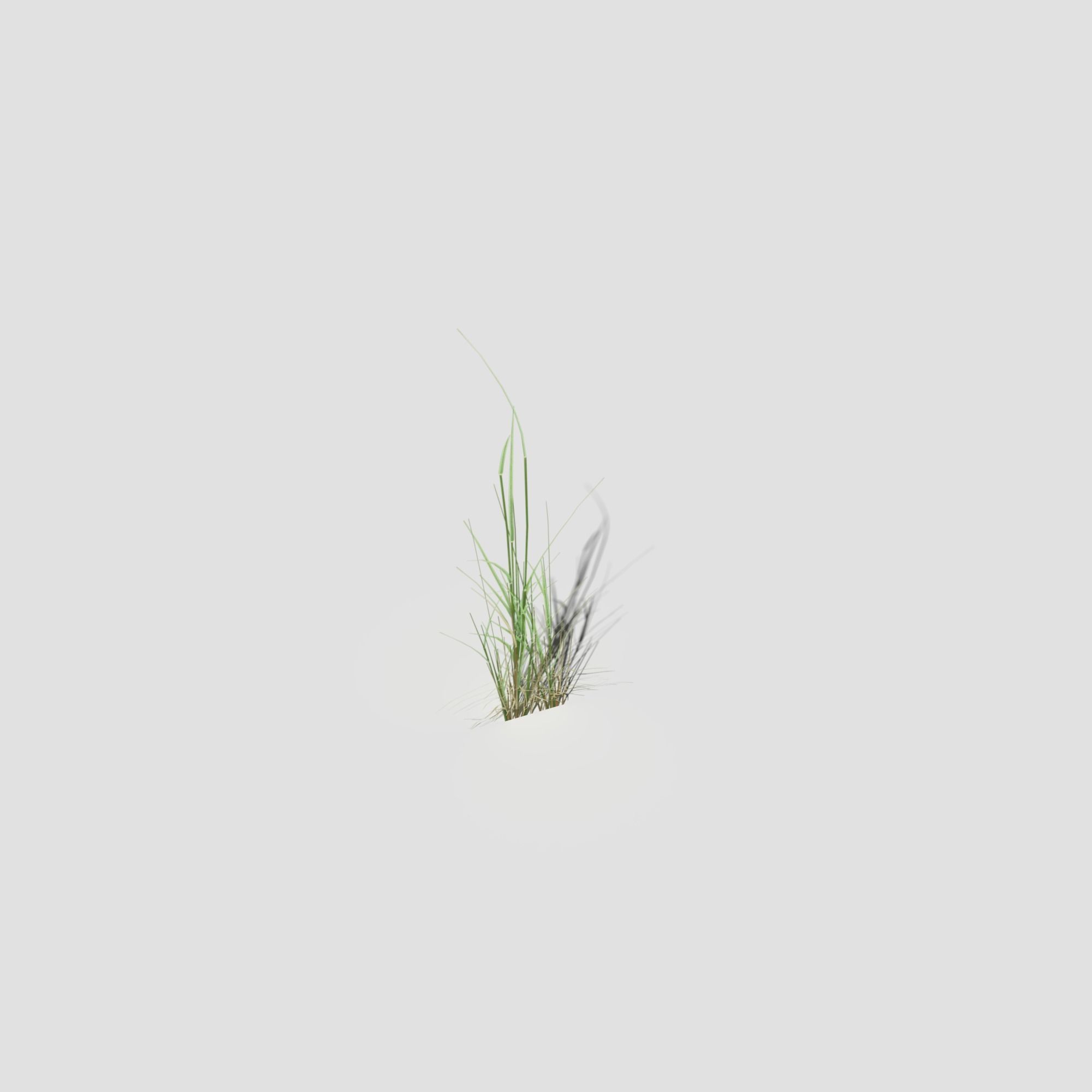 Low Poly Bent Grass Pack Low-poly 3D model_46