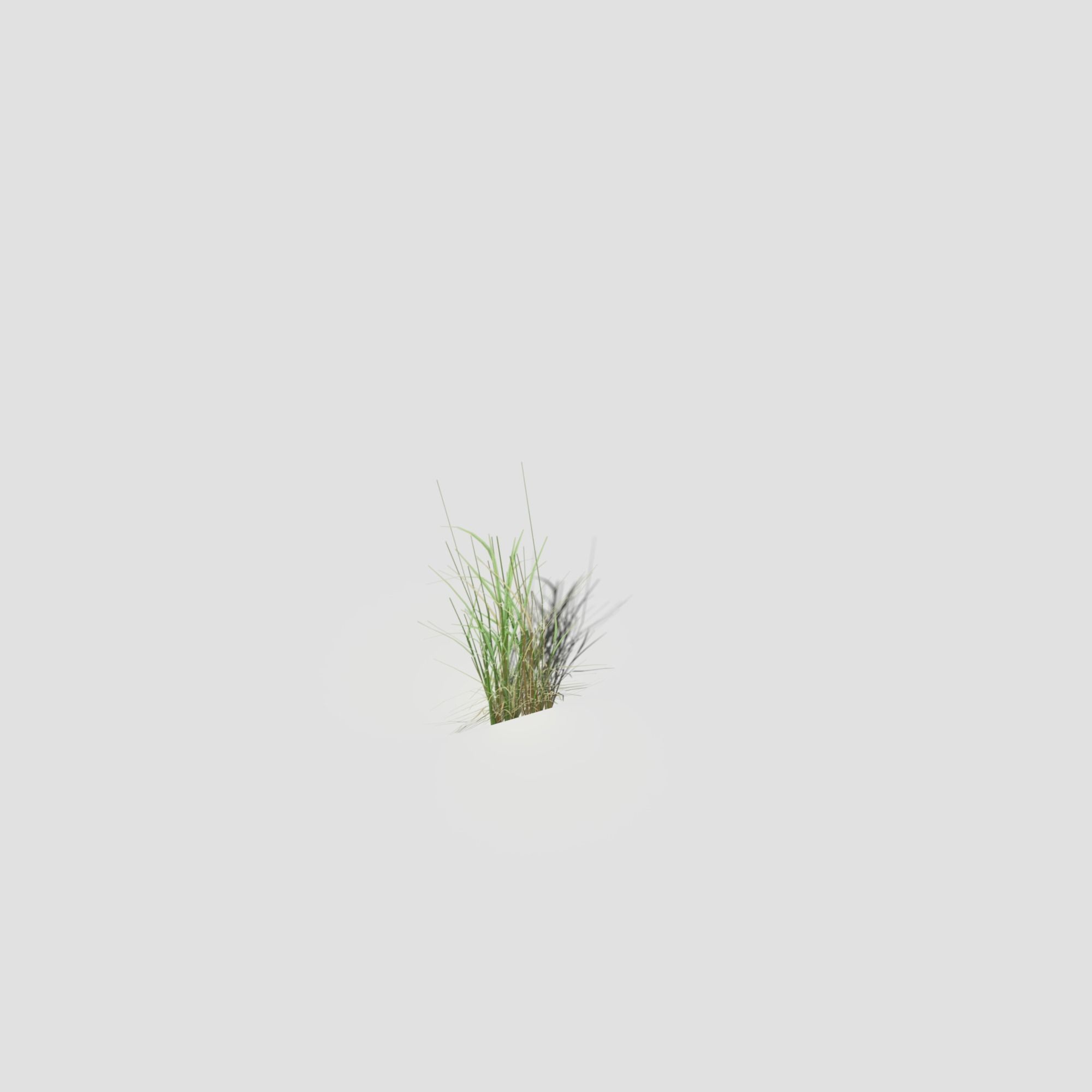 Low Poly Bent Grass Pack Low-poly 3D model_40