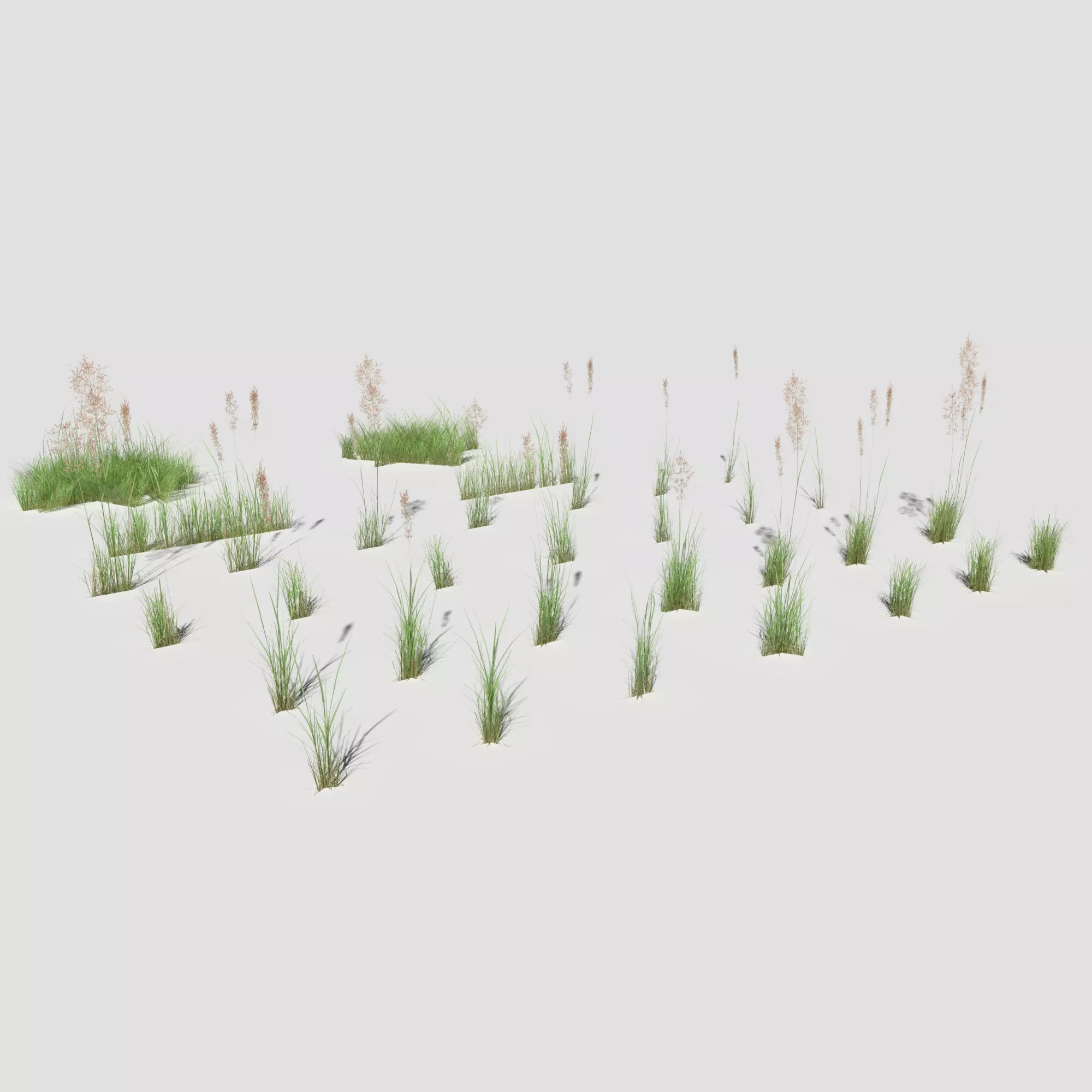 Low Poly Bent Grass Pack Low-poly 3D model_0