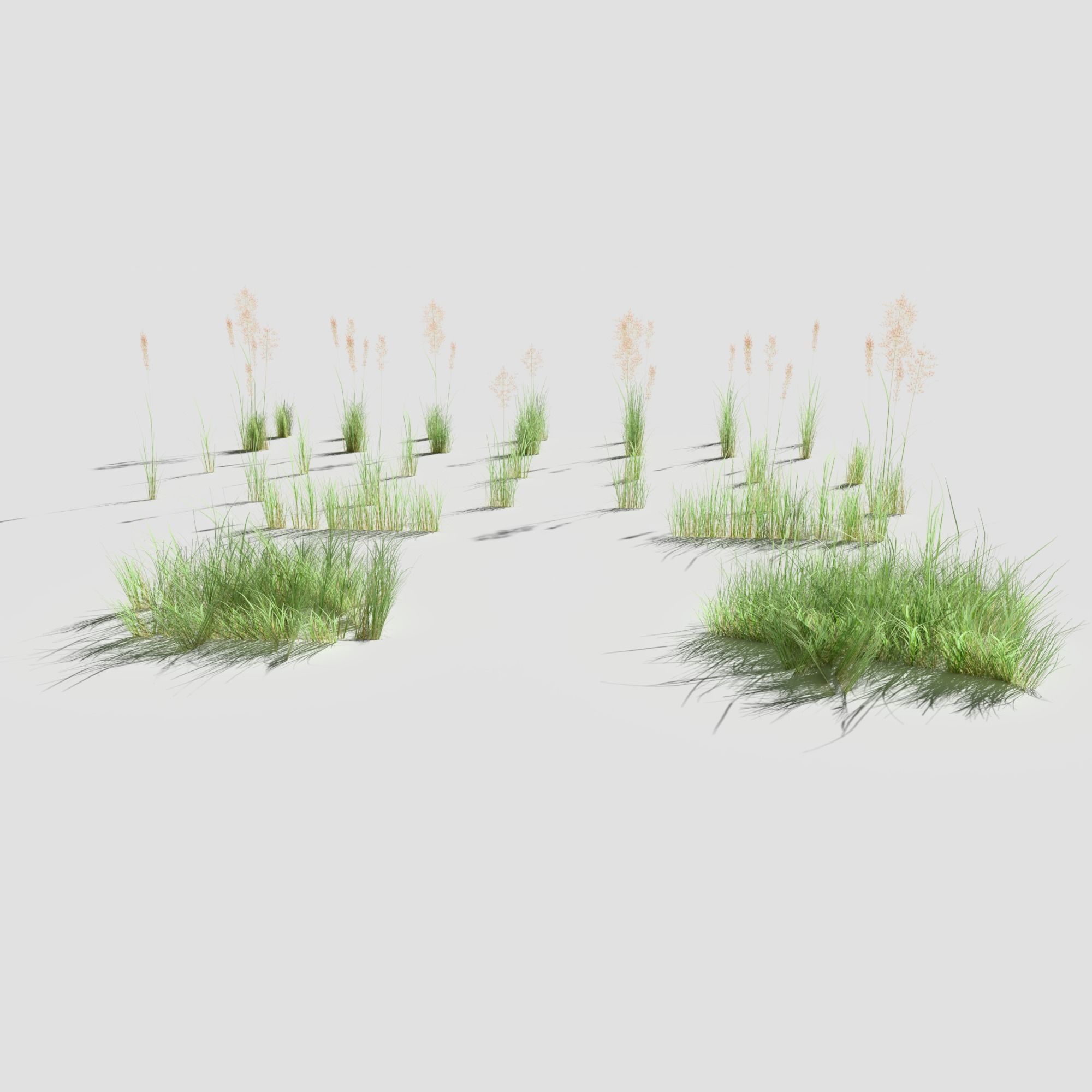 Low Poly Bent Grass Pack Low-poly 3D model_5