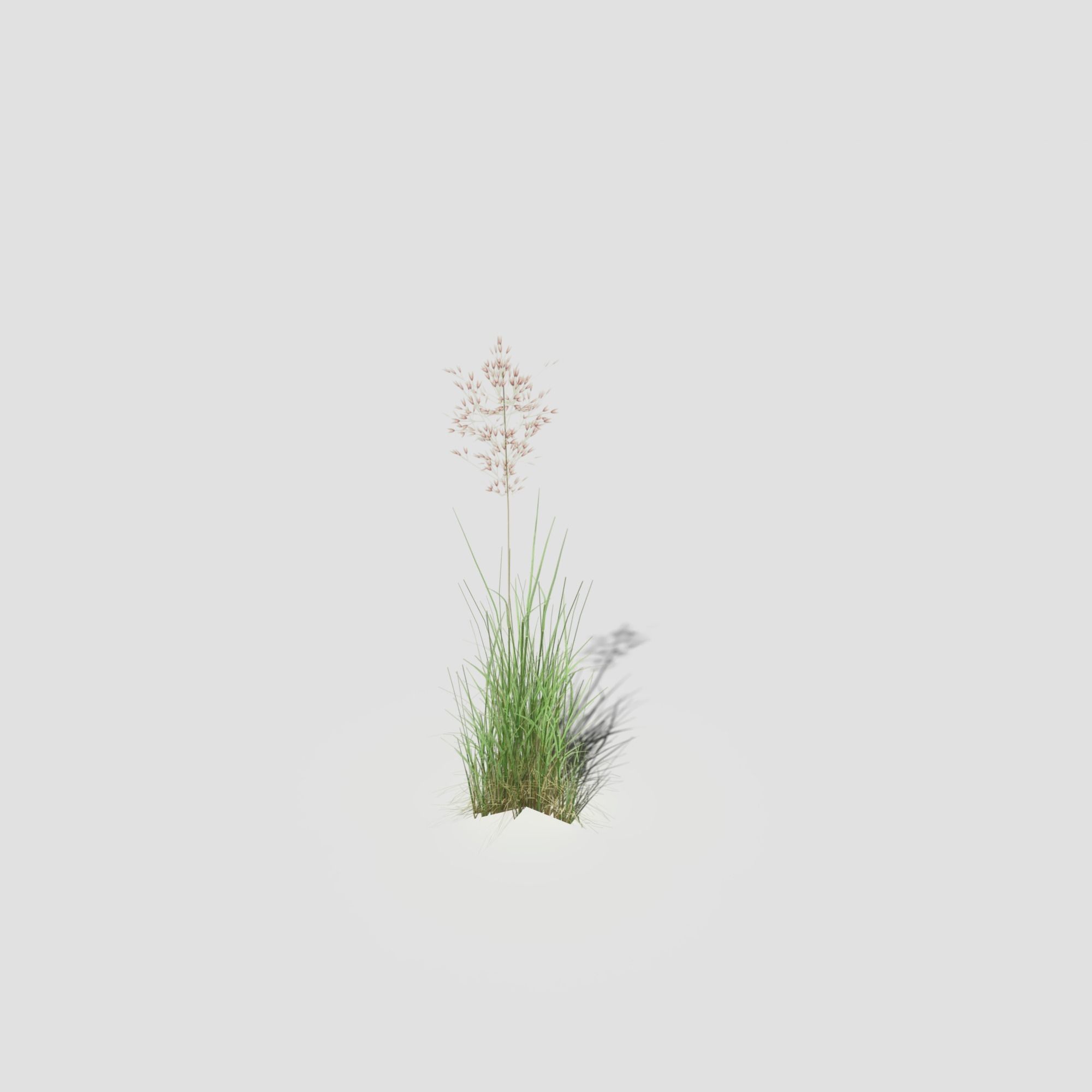 Low Poly Bent Grass Pack Low-poly 3D model_30