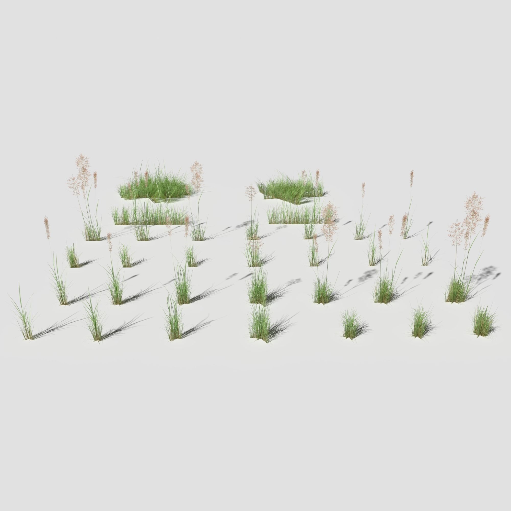 Low Poly Bent Grass Pack Low-poly 3D model_1
