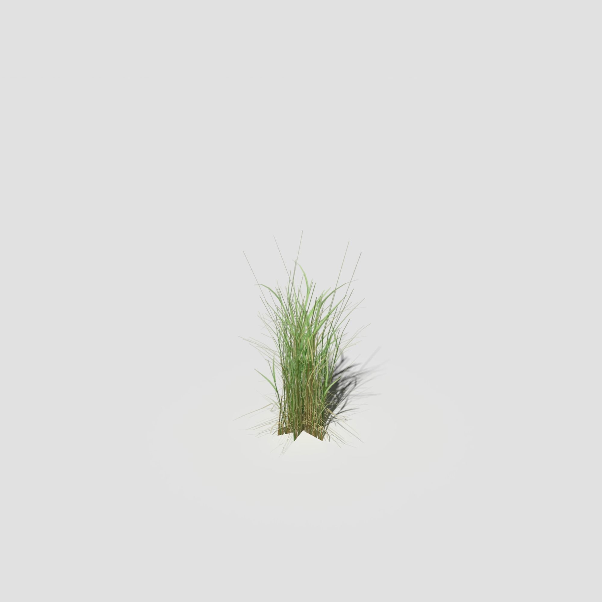 Low Poly Bent Grass Pack Low-poly 3D model_20