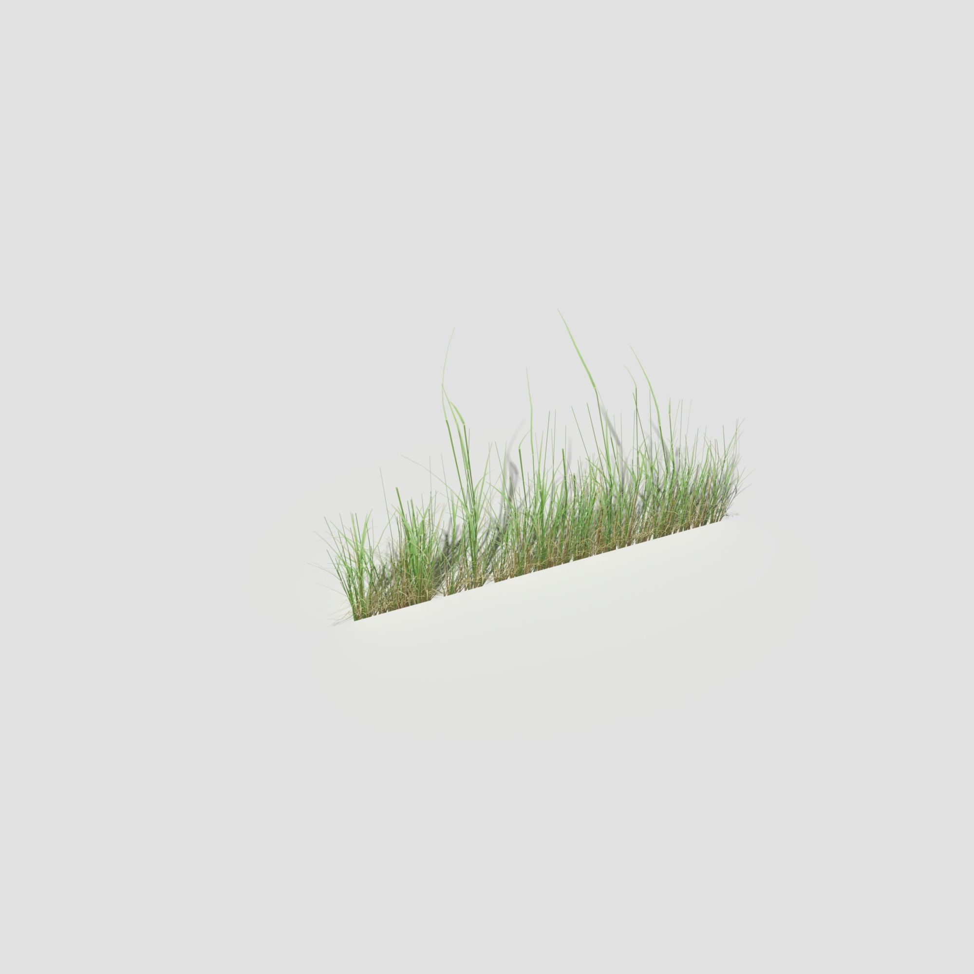 Low Poly Bent Grass Pack Low-poly 3D model_66