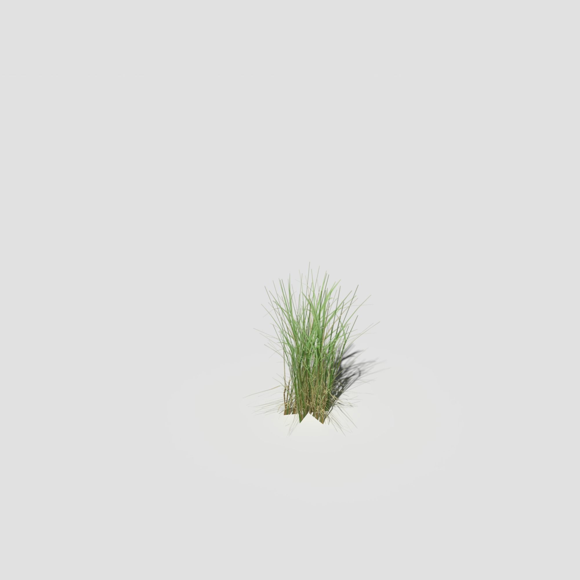 Low Poly Bent Grass Pack Low-poly 3D model_18