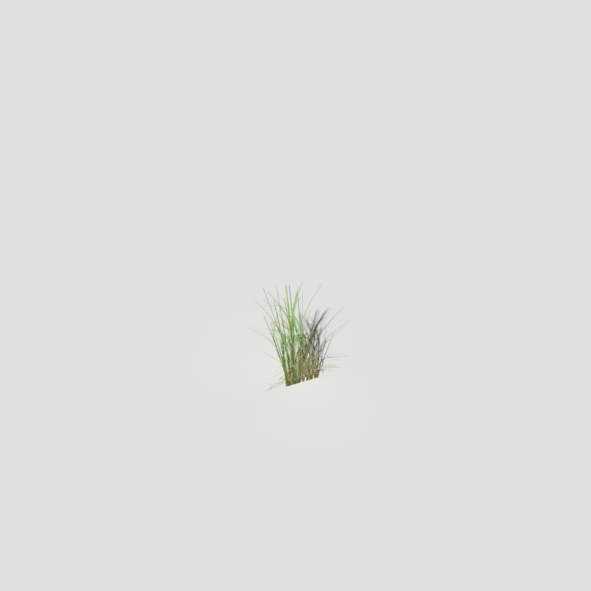 Low Poly Bent Grass Pack Low-poly 3D model_42