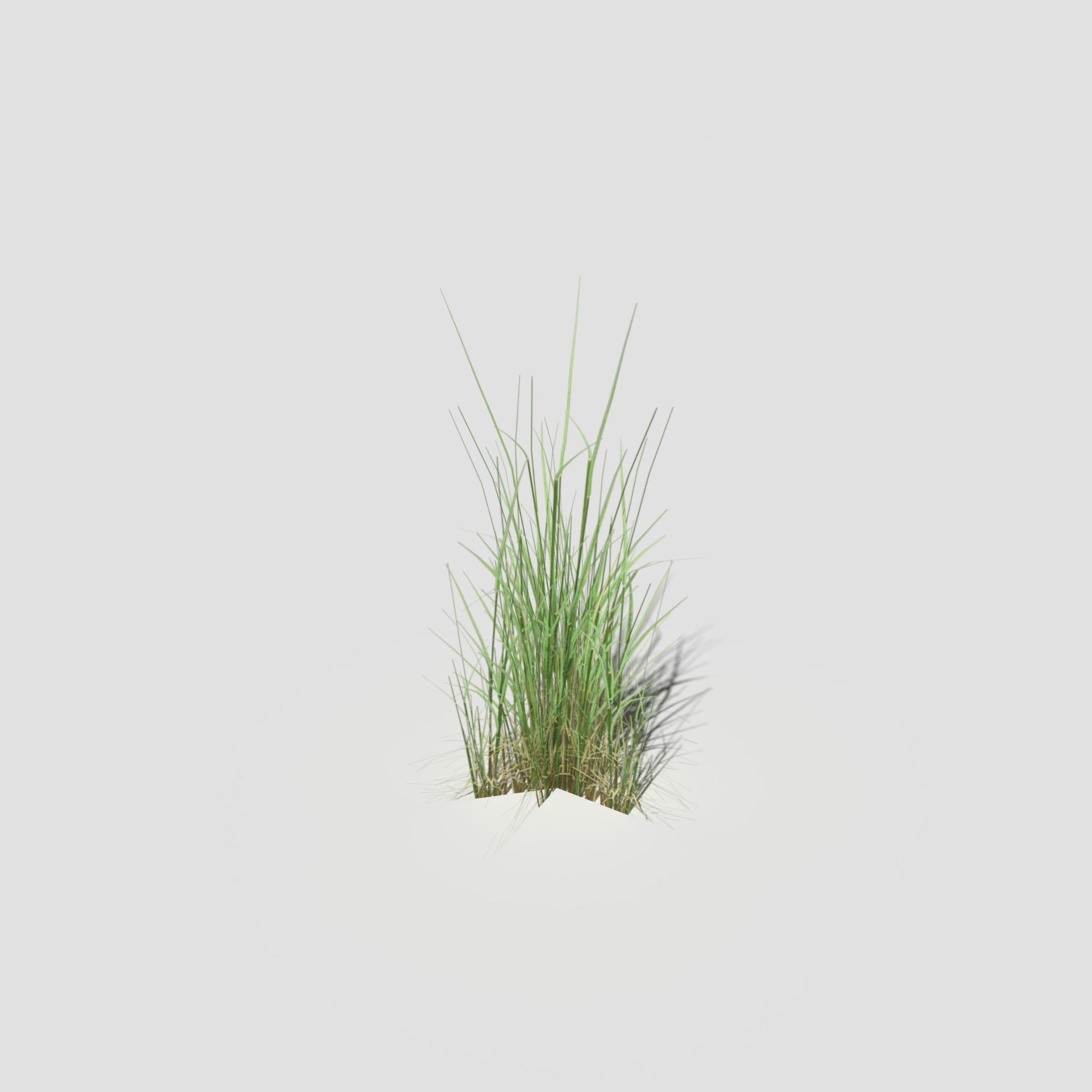 Low Poly Bent Grass Pack Low-poly 3D model_16