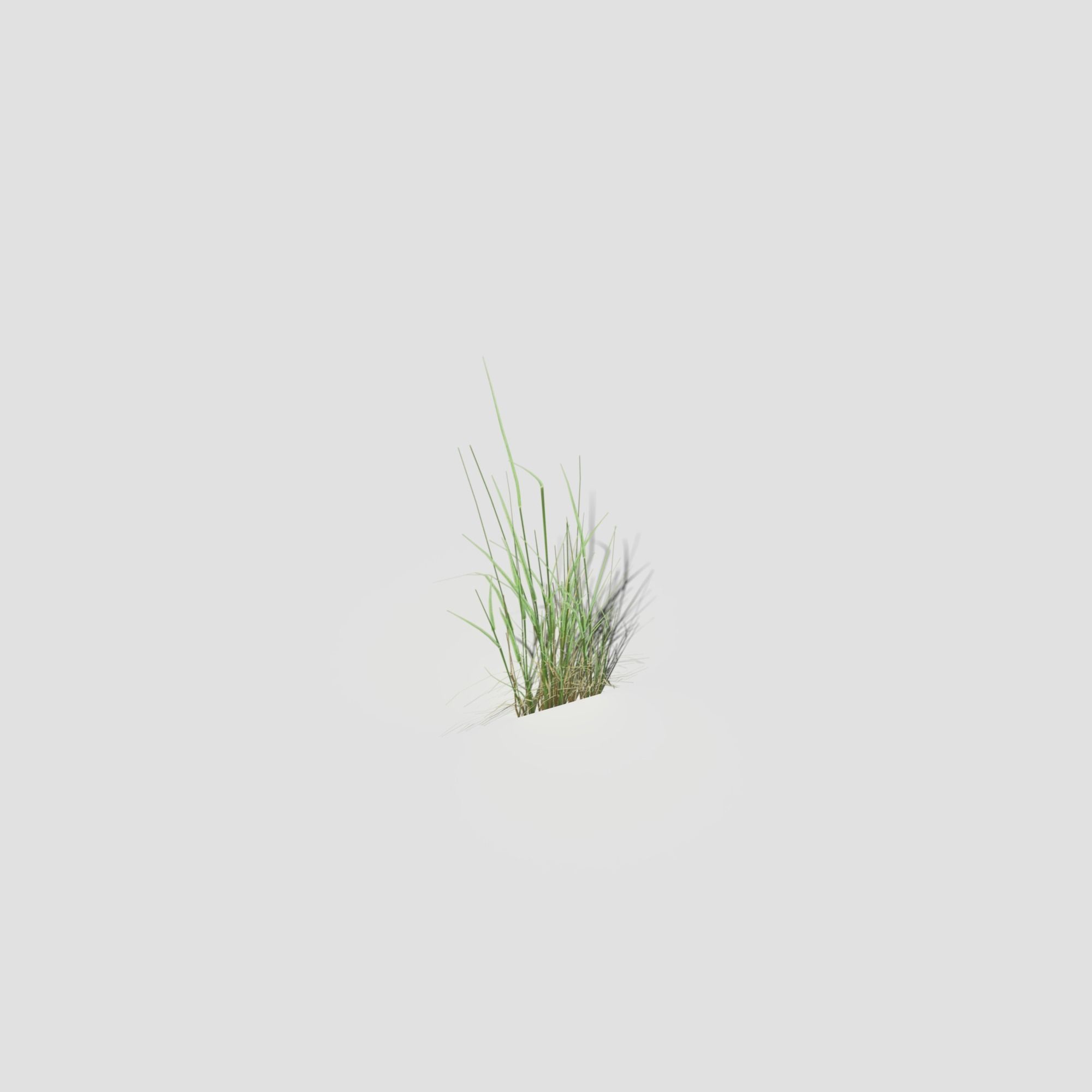 Low Poly Bent Grass Pack Low-poly 3D model_44