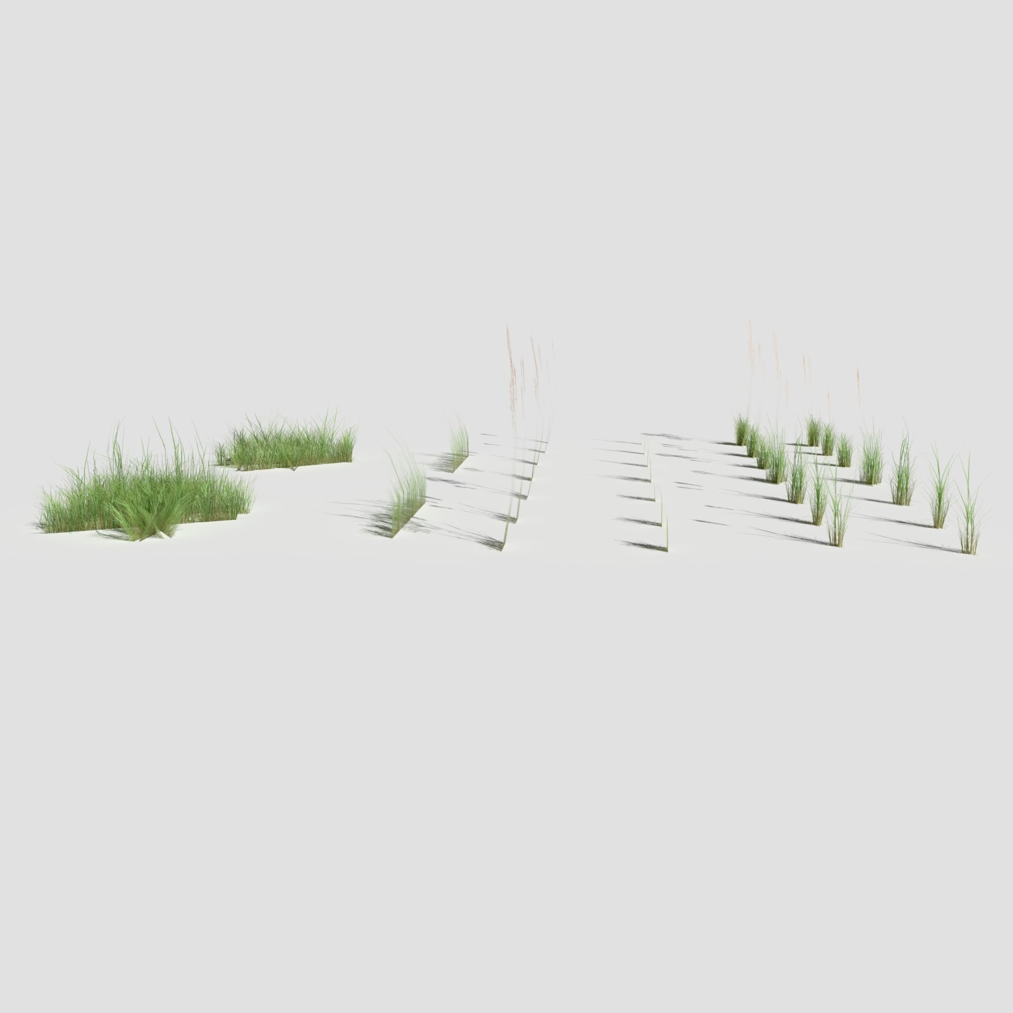 Low Poly Bent Grass Pack Low-poly 3D model_7