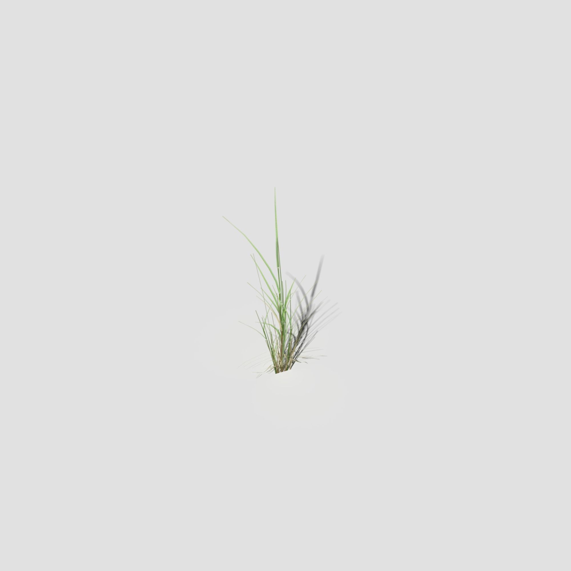 Low Poly Bent Grass Pack Low-poly 3D model_48