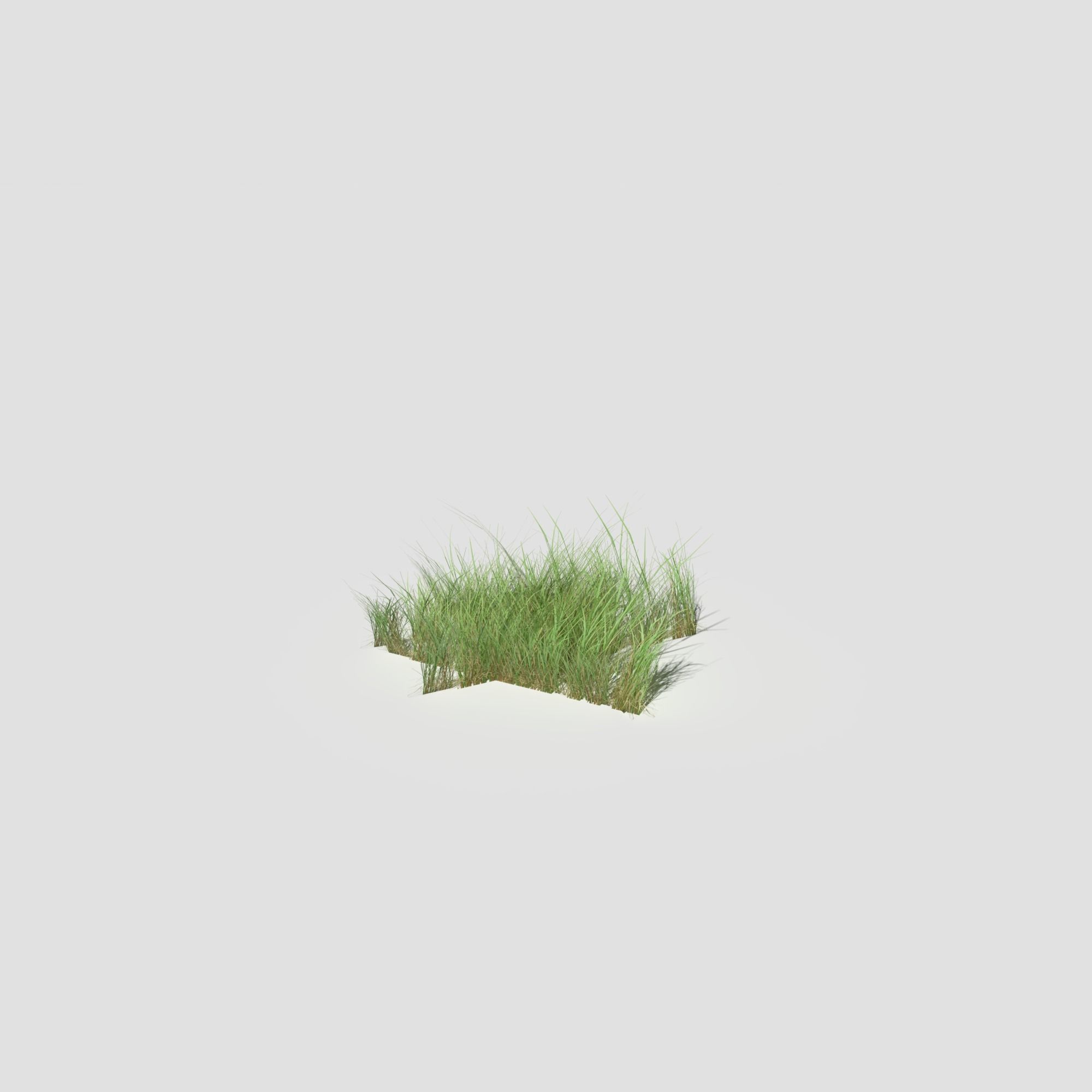 Low Poly Bent Grass Pack Low-poly 3D model_72