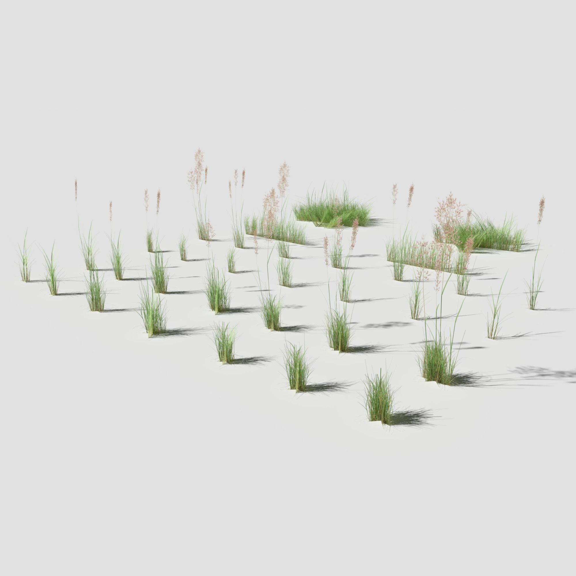 Low Poly Bent Grass Pack Low-poly 3D model_2