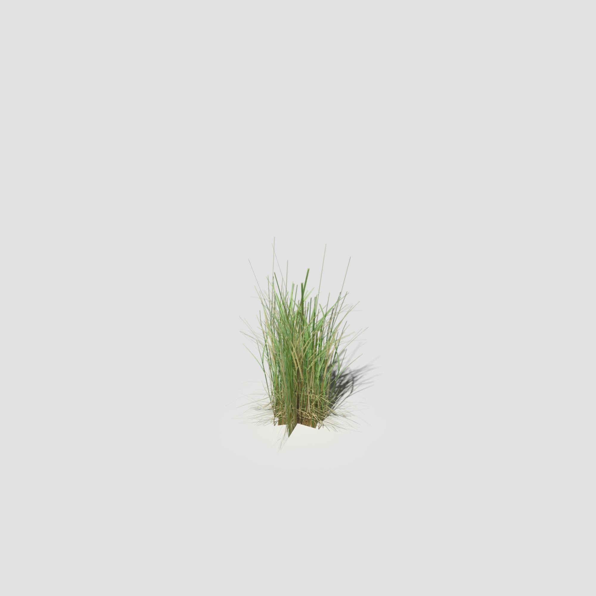 Low Poly Bent Grass Pack Low-poly 3D model_22