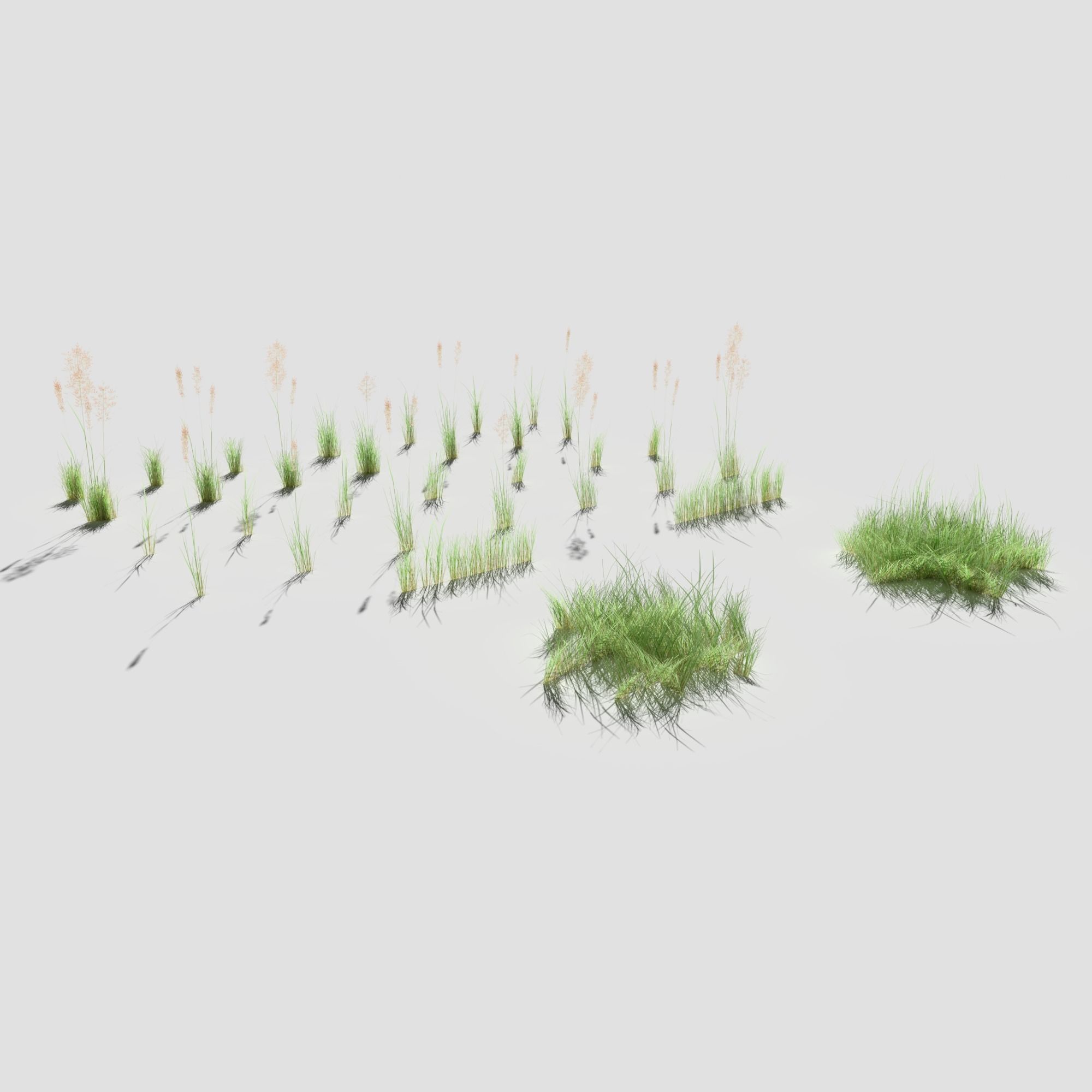 Low Poly Bent Grass Pack Low-poly 3D model_4