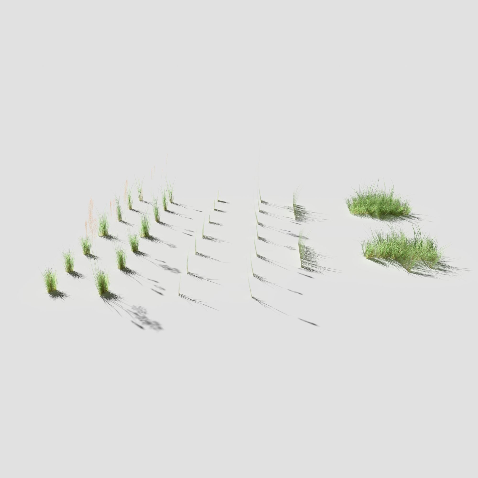 Low Poly Bent Grass Pack Low-poly 3D model_3