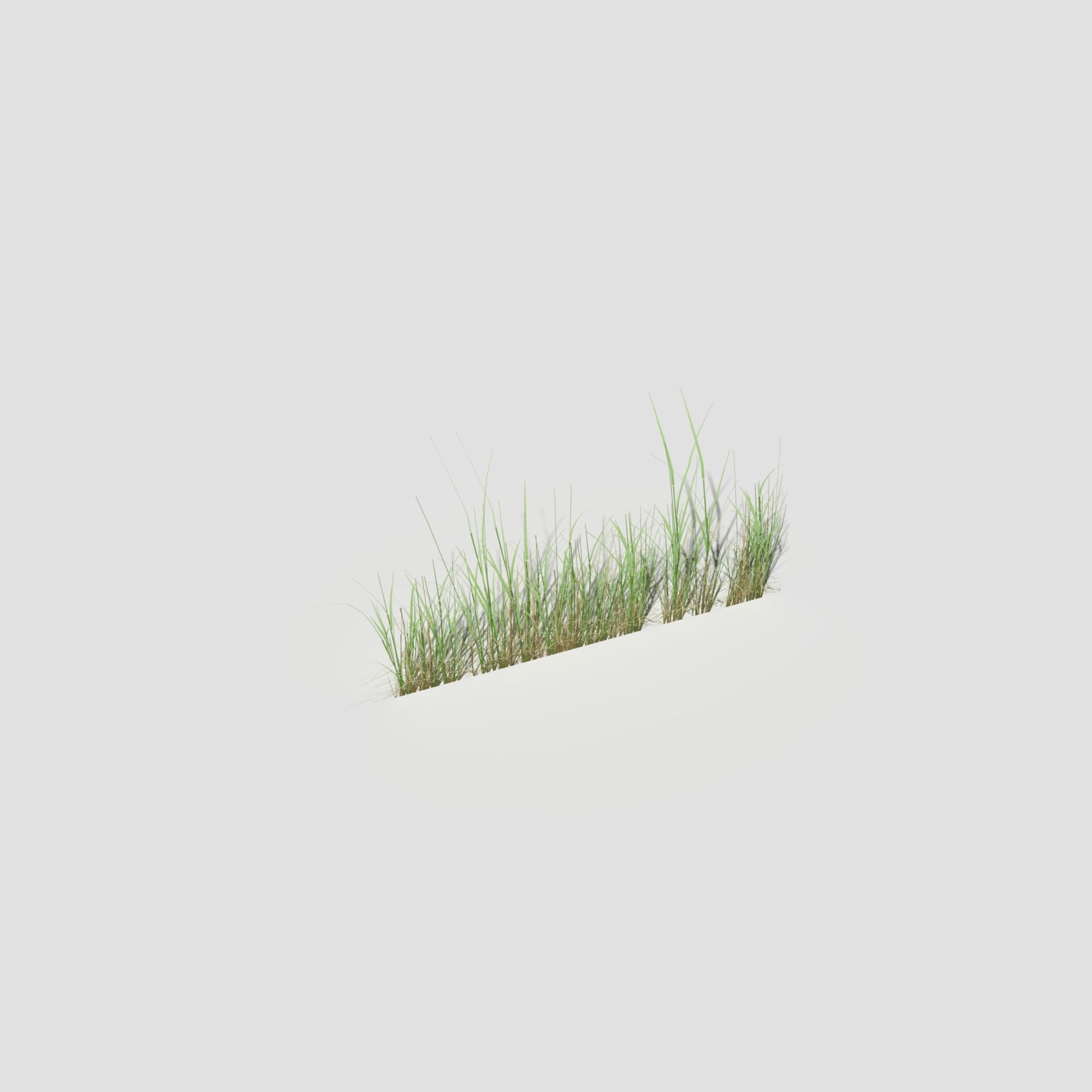 Low Poly Bent Grass Pack Low-poly 3D model_68